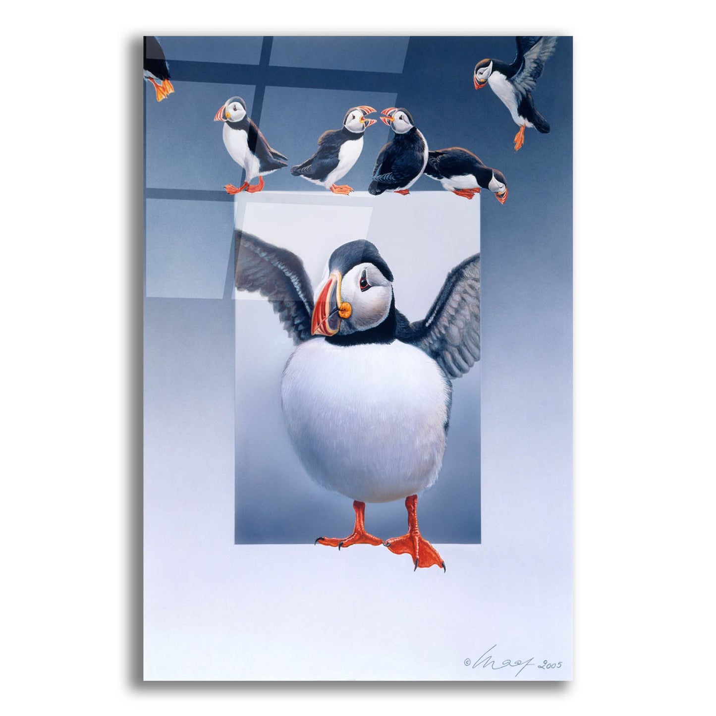 Epic Art 'Puffins' by Harro Maass, Acrylic Glass Wall Art,12x16