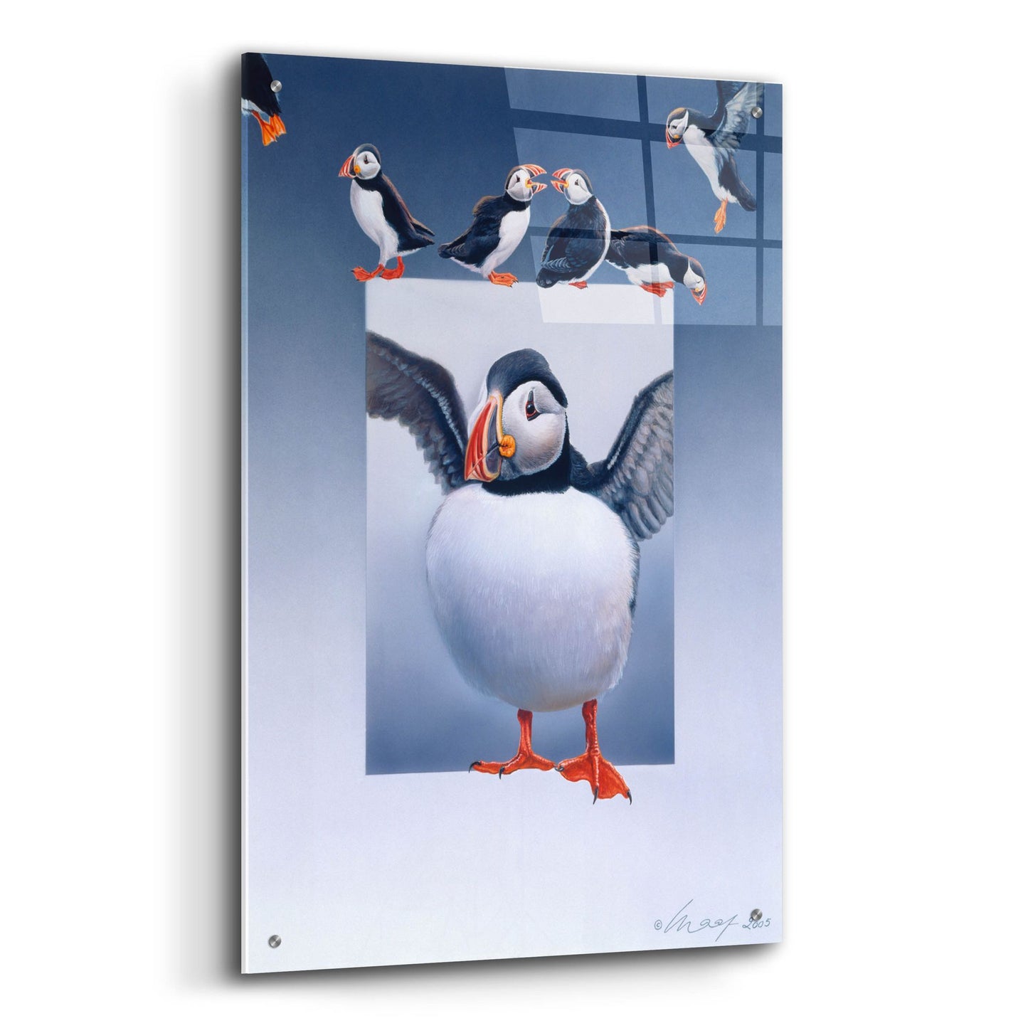 Epic Art 'Puffins' by Harro Maass, Acrylic Glass Wall Art,24x36