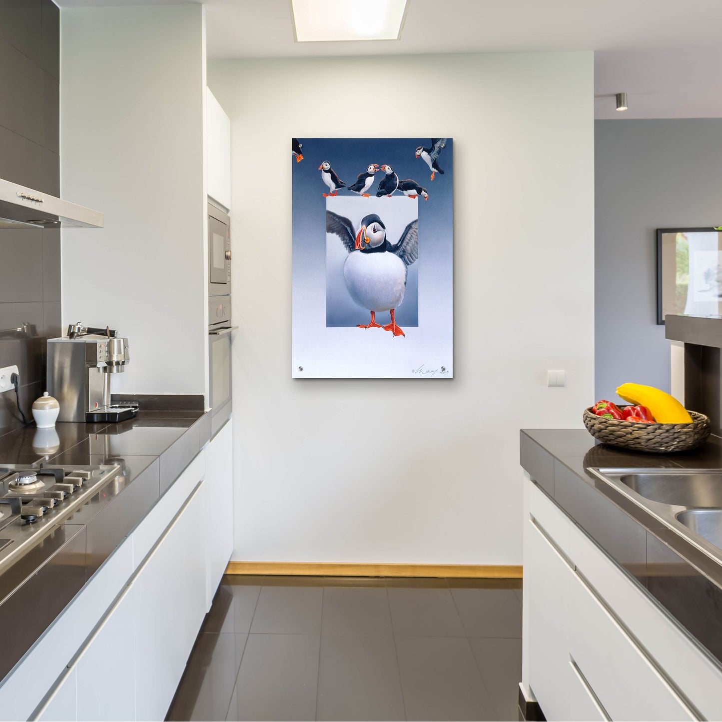 Epic Art 'Puffins' by Harro Maass, Acrylic Glass Wall Art,24x36