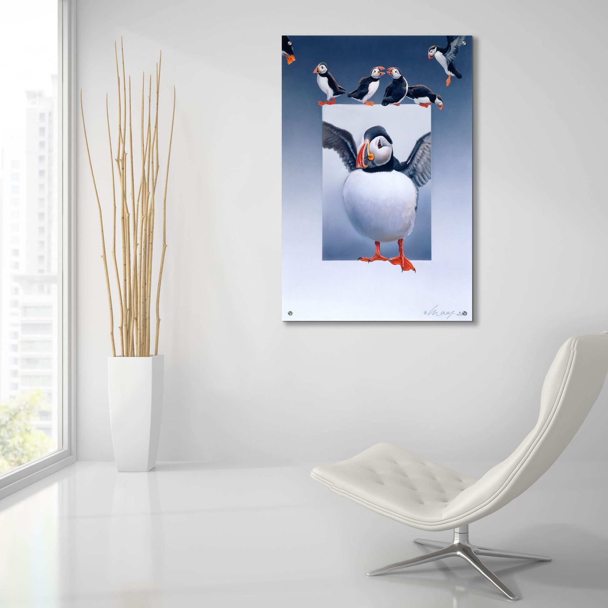 Epic Art 'Puffins' by Harro Maass, Acrylic Glass Wall Art,24x36