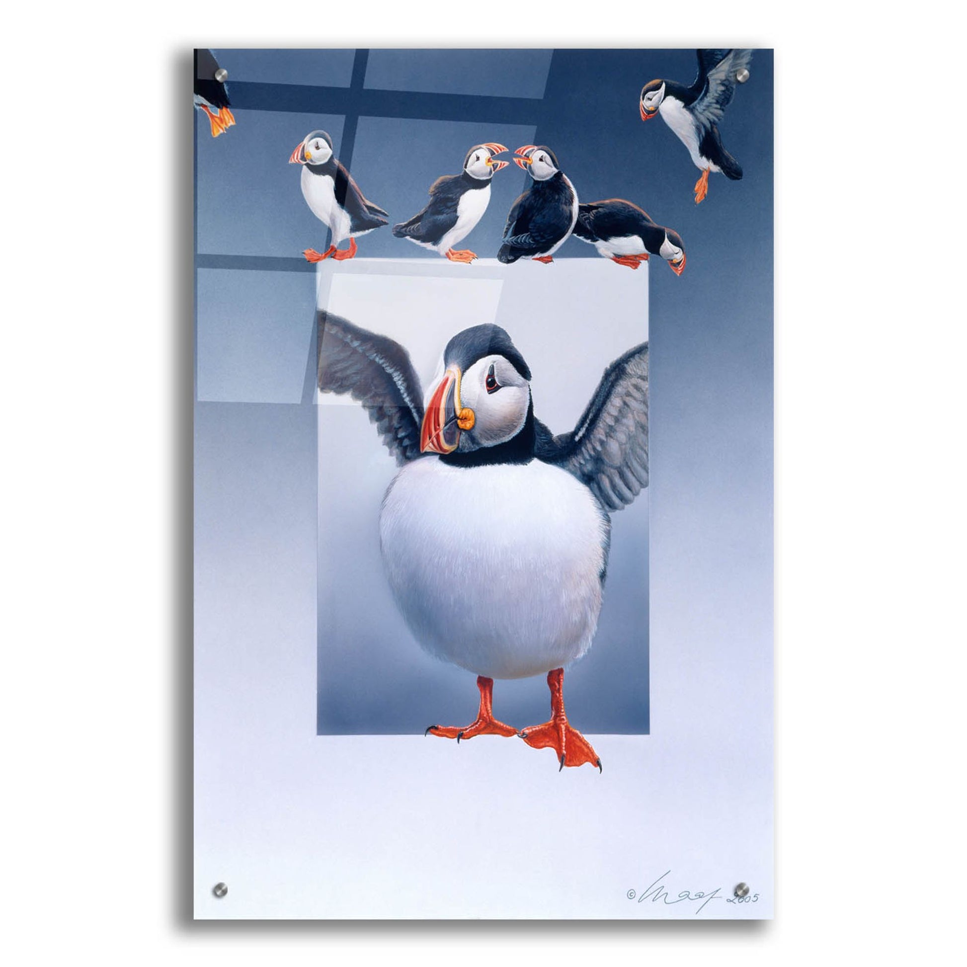 Epic Art 'Puffins' by Harro Maass, Acrylic Glass Wall Art,24x36