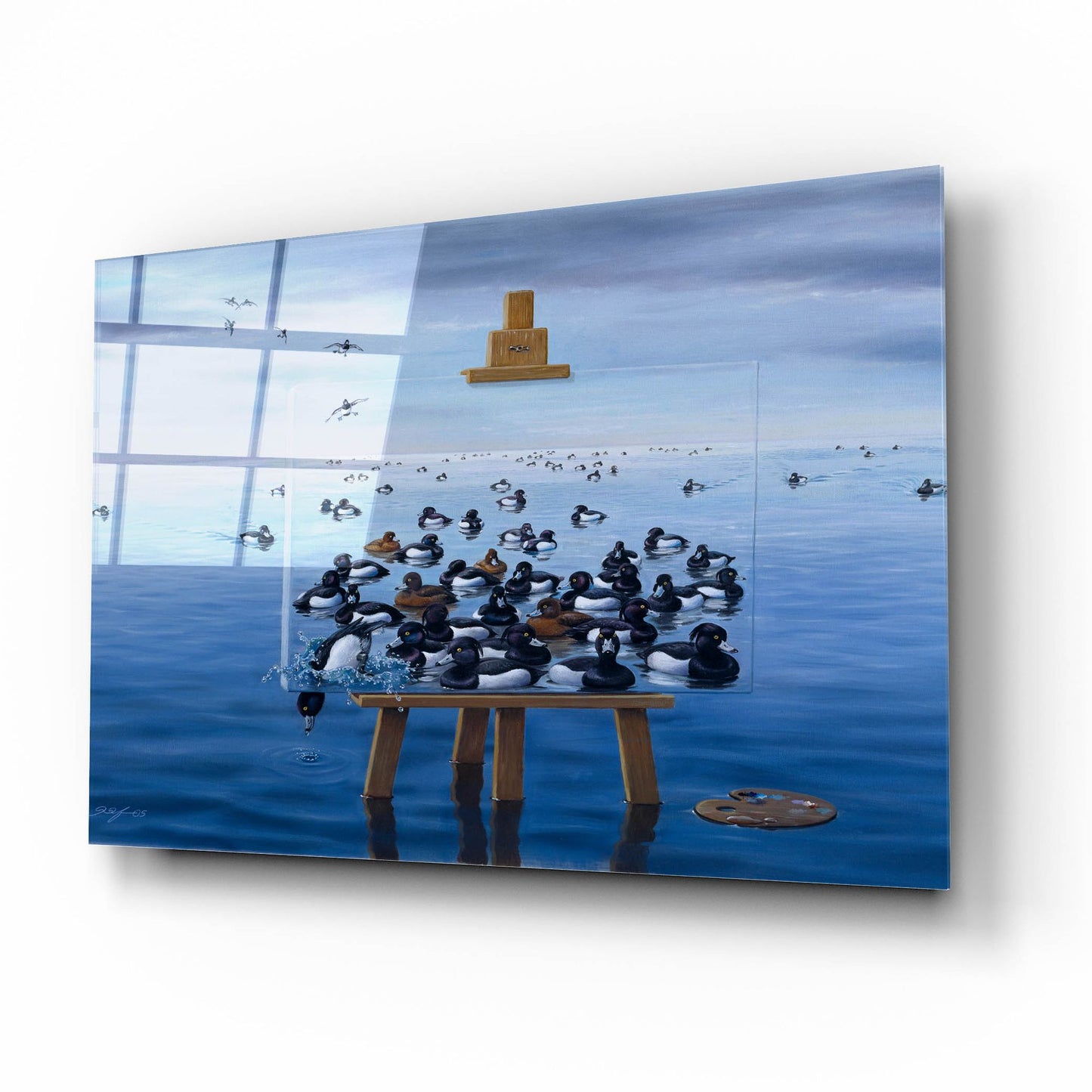 Epic Art 'Tufted Ducks' by Harro Maass, Acrylic Glass Wall Art,16x12