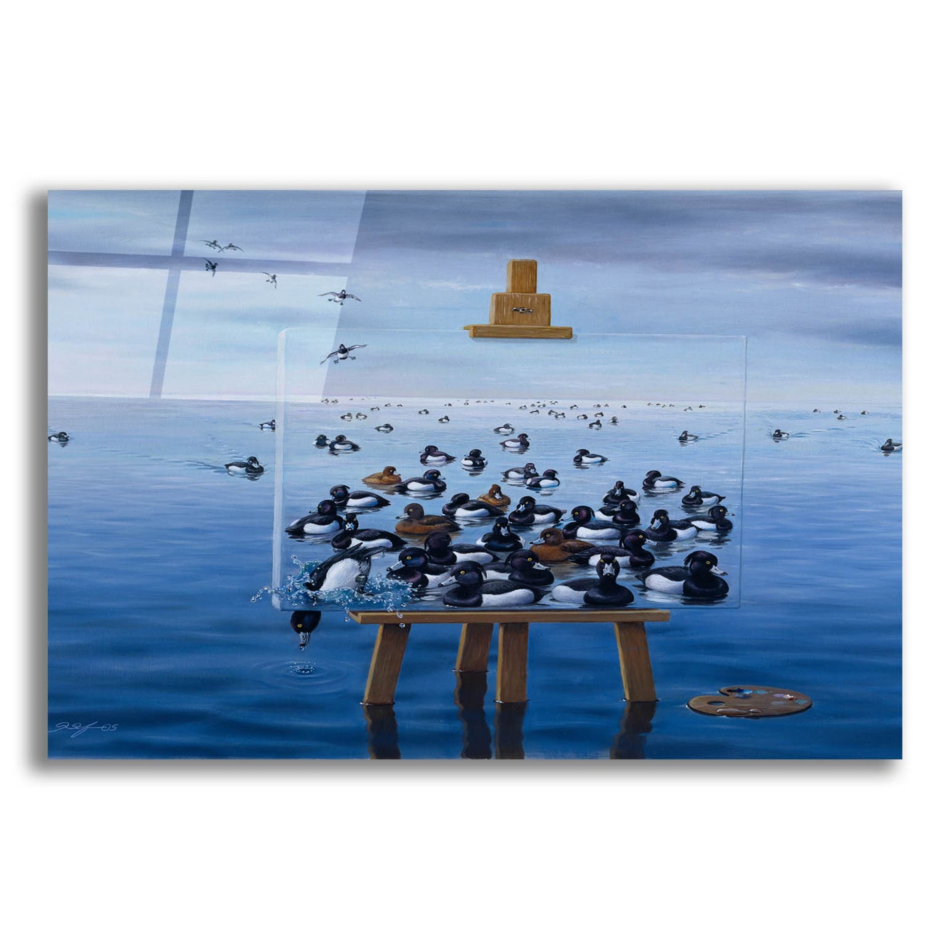 Epic Art 'Tufted Ducks' by Harro Maass, Acrylic Glass Wall Art,16x12