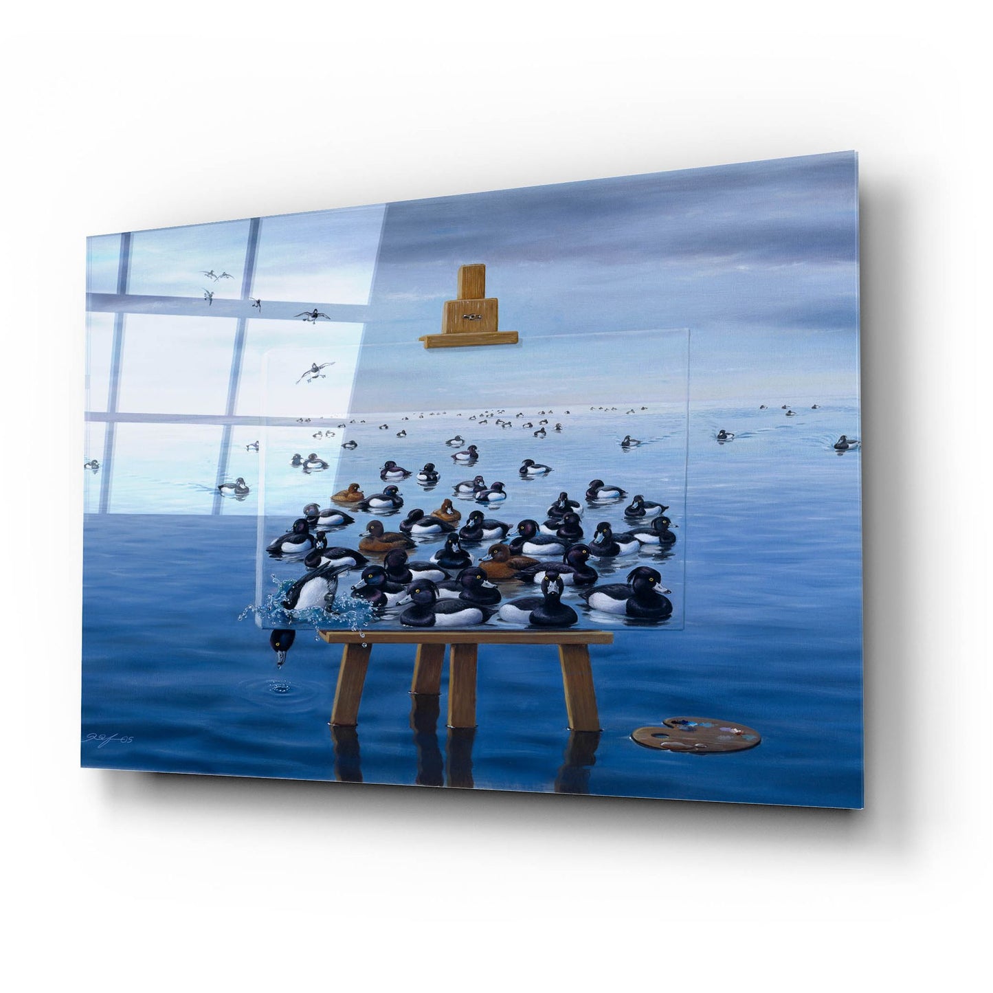 Epic Art 'Tufted Ducks' by Harro Maass, Acrylic Glass Wall Art,24x16