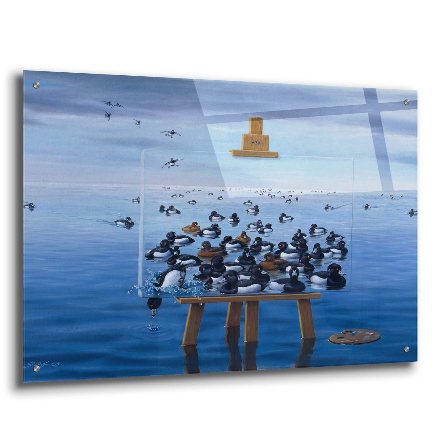 Epic Art 'Tufted Ducks' by Harro Maass, Acrylic Glass Wall Art,36x24