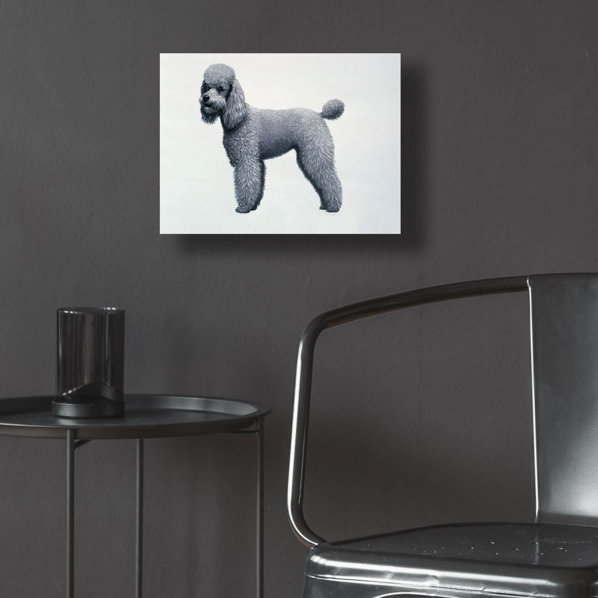 Epic Art 'Poodle' by Harro Maass, Acrylic Glass Wall Art,16x12