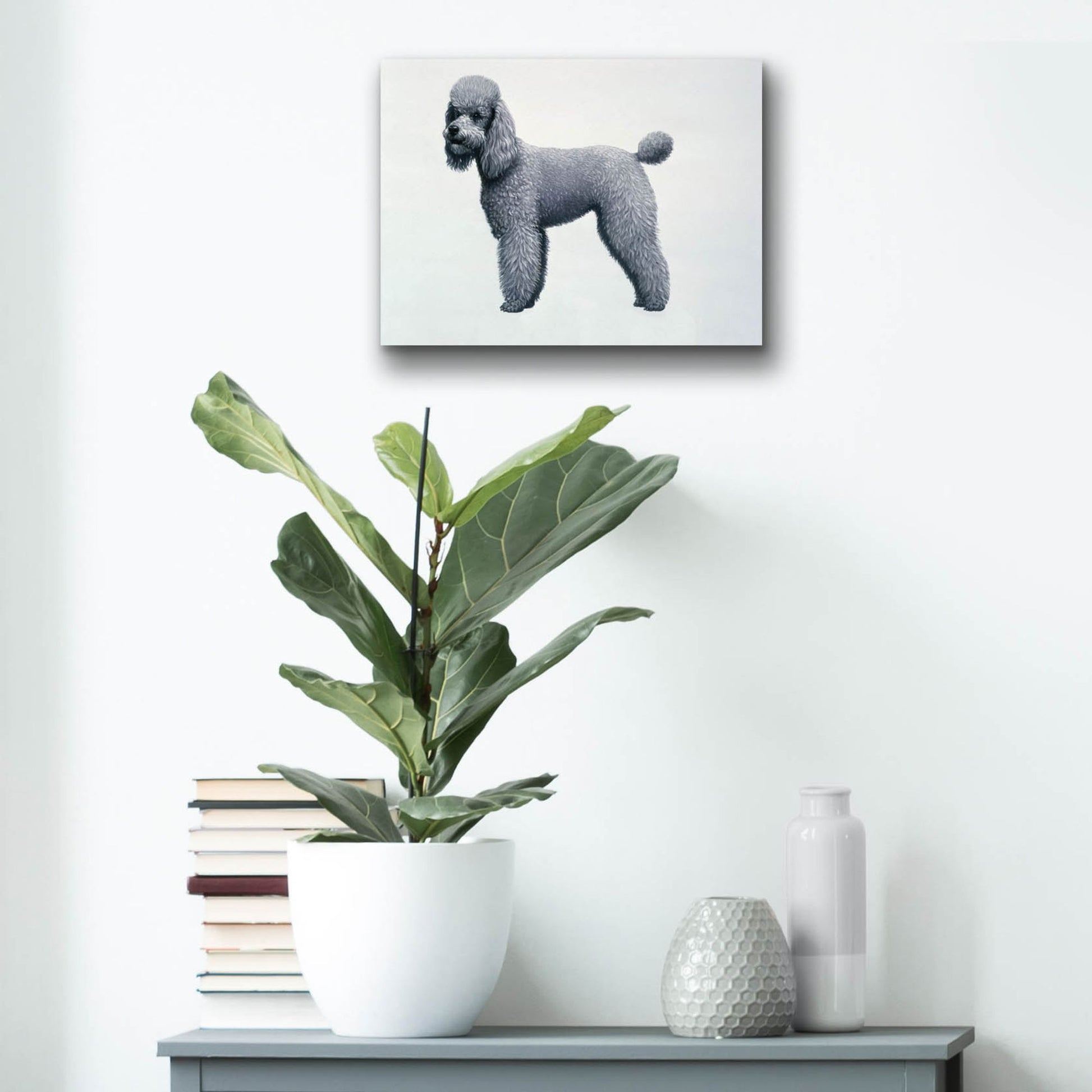 Epic Art 'Poodle' by Harro Maass, Acrylic Glass Wall Art,16x12