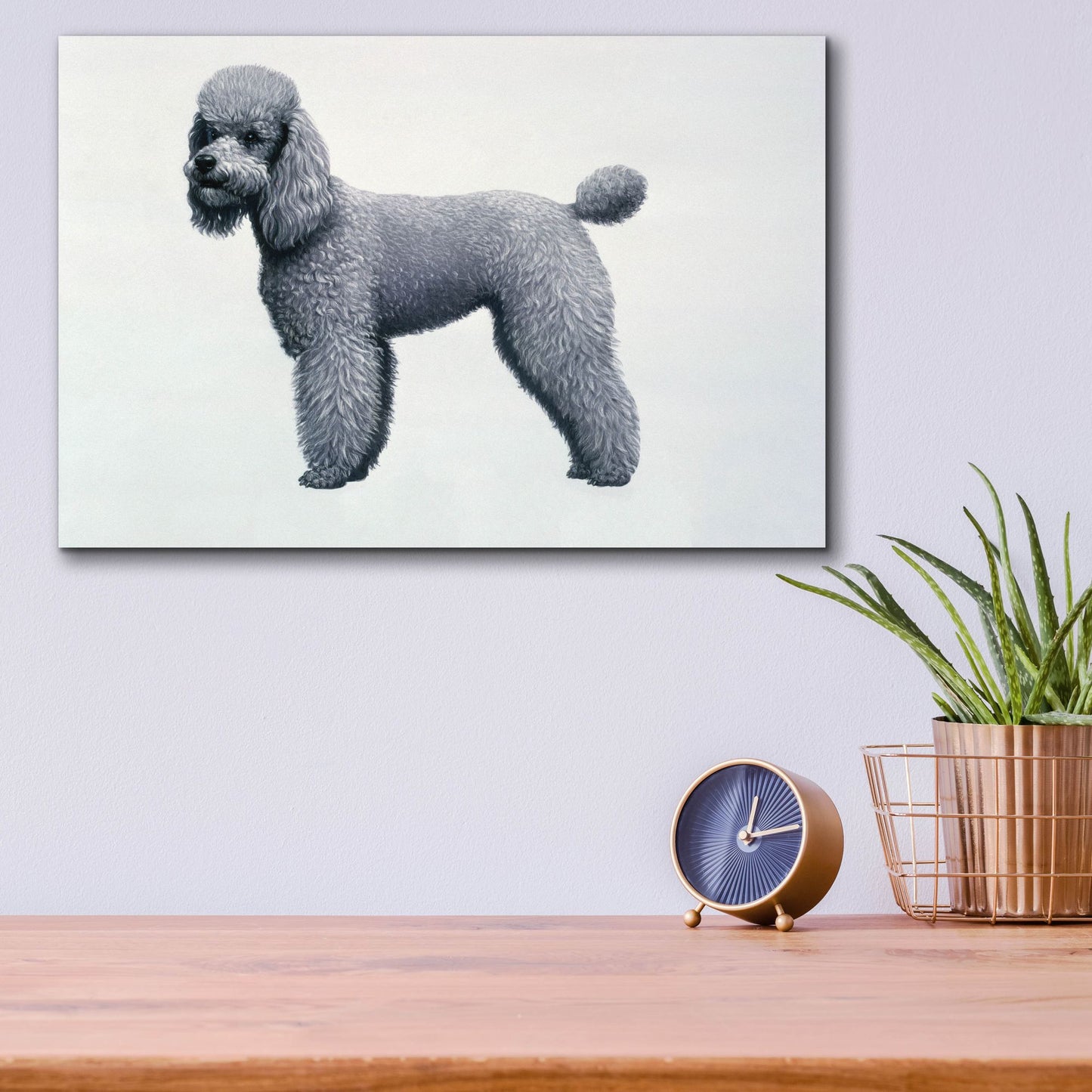 Epic Art 'Poodle' by Harro Maass, Acrylic Glass Wall Art,16x12