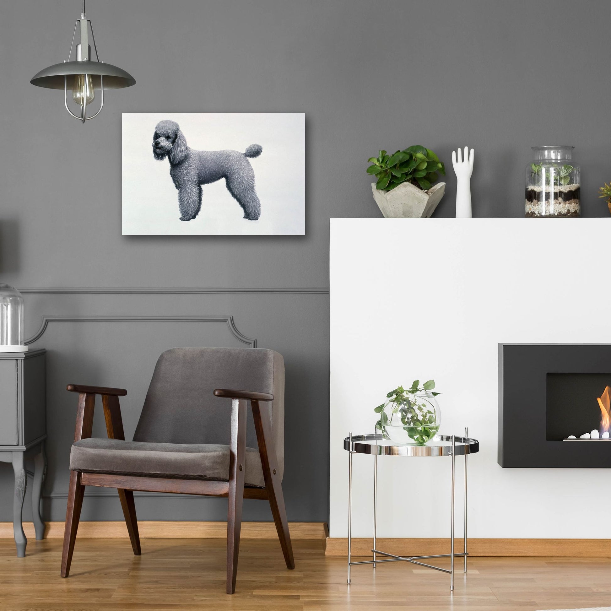 Epic Art 'Poodle' by Harro Maass, Acrylic Glass Wall Art,24x16