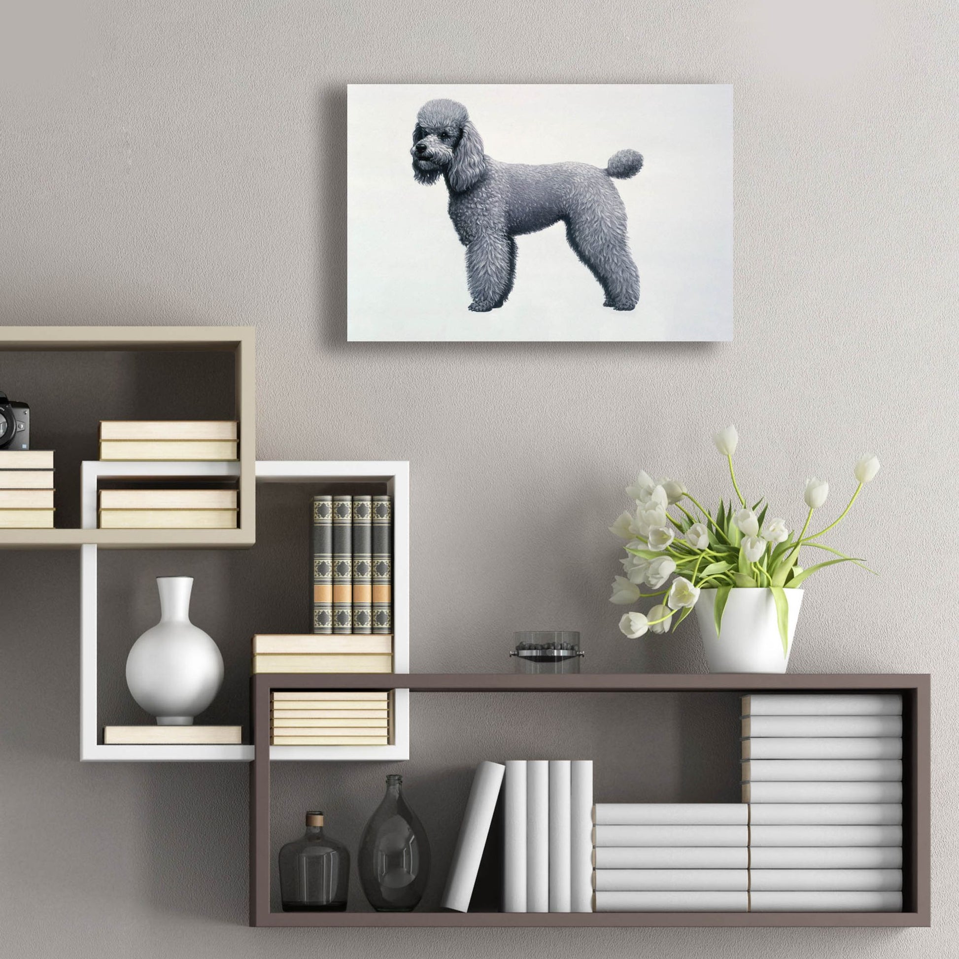 Epic Art 'Poodle' by Harro Maass, Acrylic Glass Wall Art,24x16