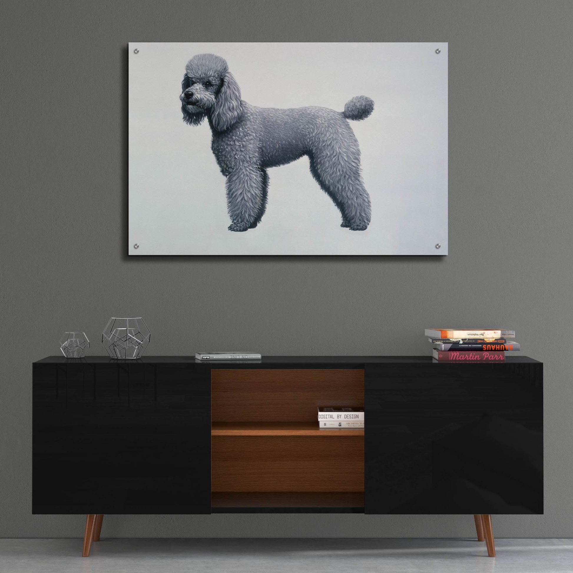 Epic Art 'Poodle' by Harro Maass, Acrylic Glass Wall Art,36x24
