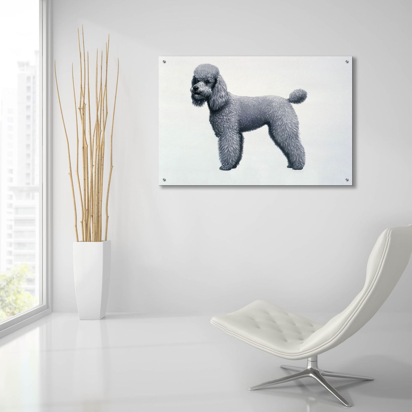 Epic Art 'Poodle' by Harro Maass, Acrylic Glass Wall Art,36x24