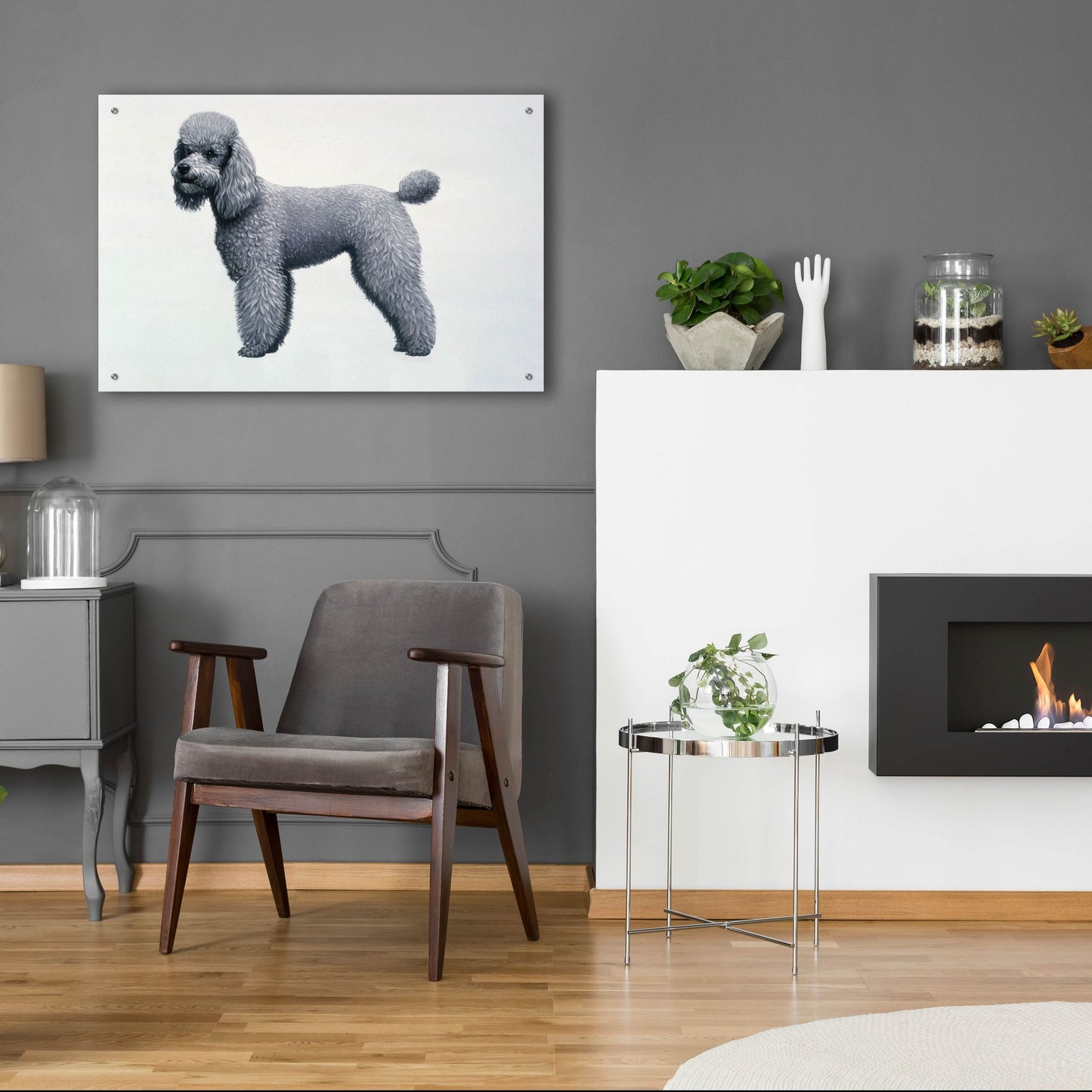 Epic Art 'Poodle' by Harro Maass, Acrylic Glass Wall Art,36x24
