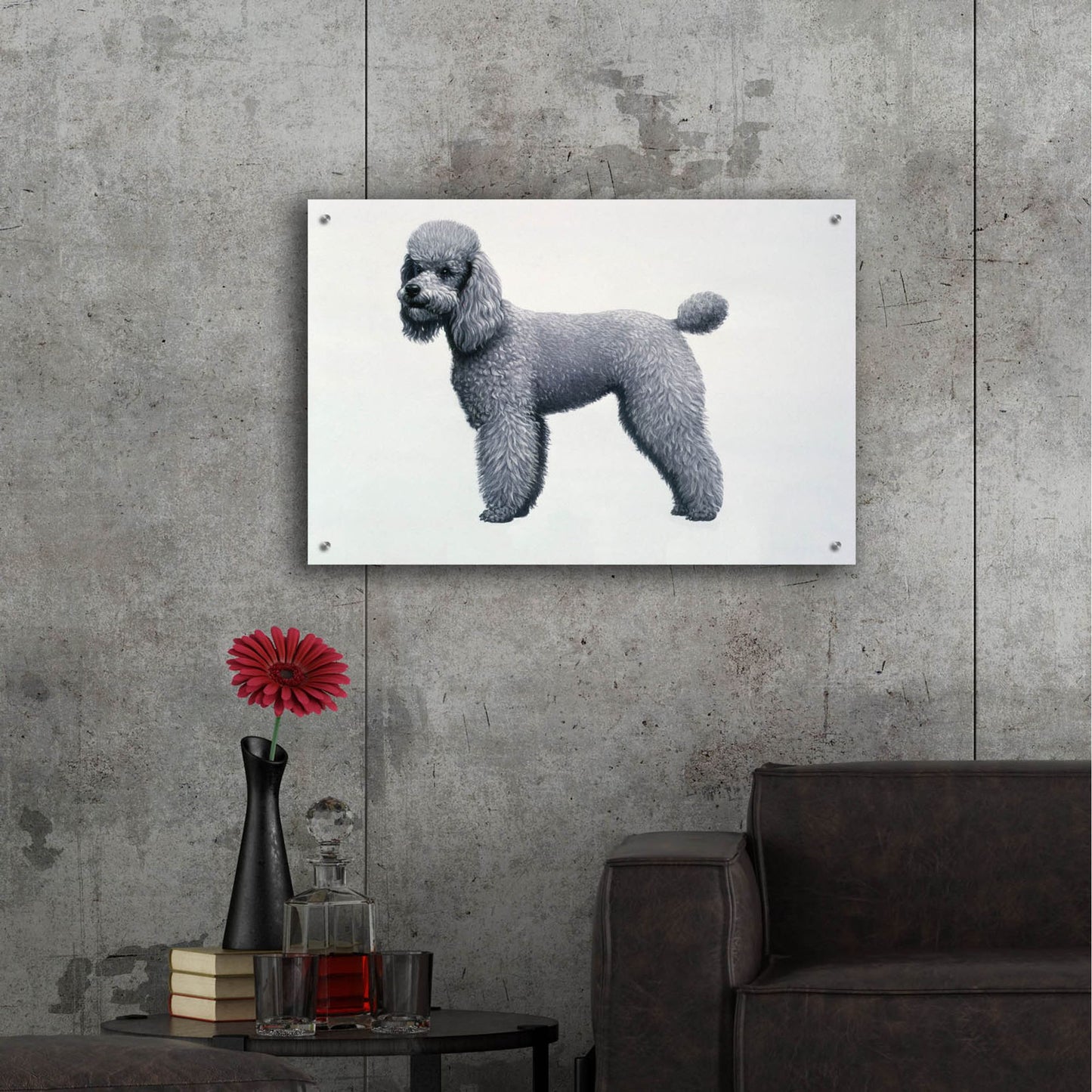 Epic Art 'Poodle' by Harro Maass, Acrylic Glass Wall Art,36x24