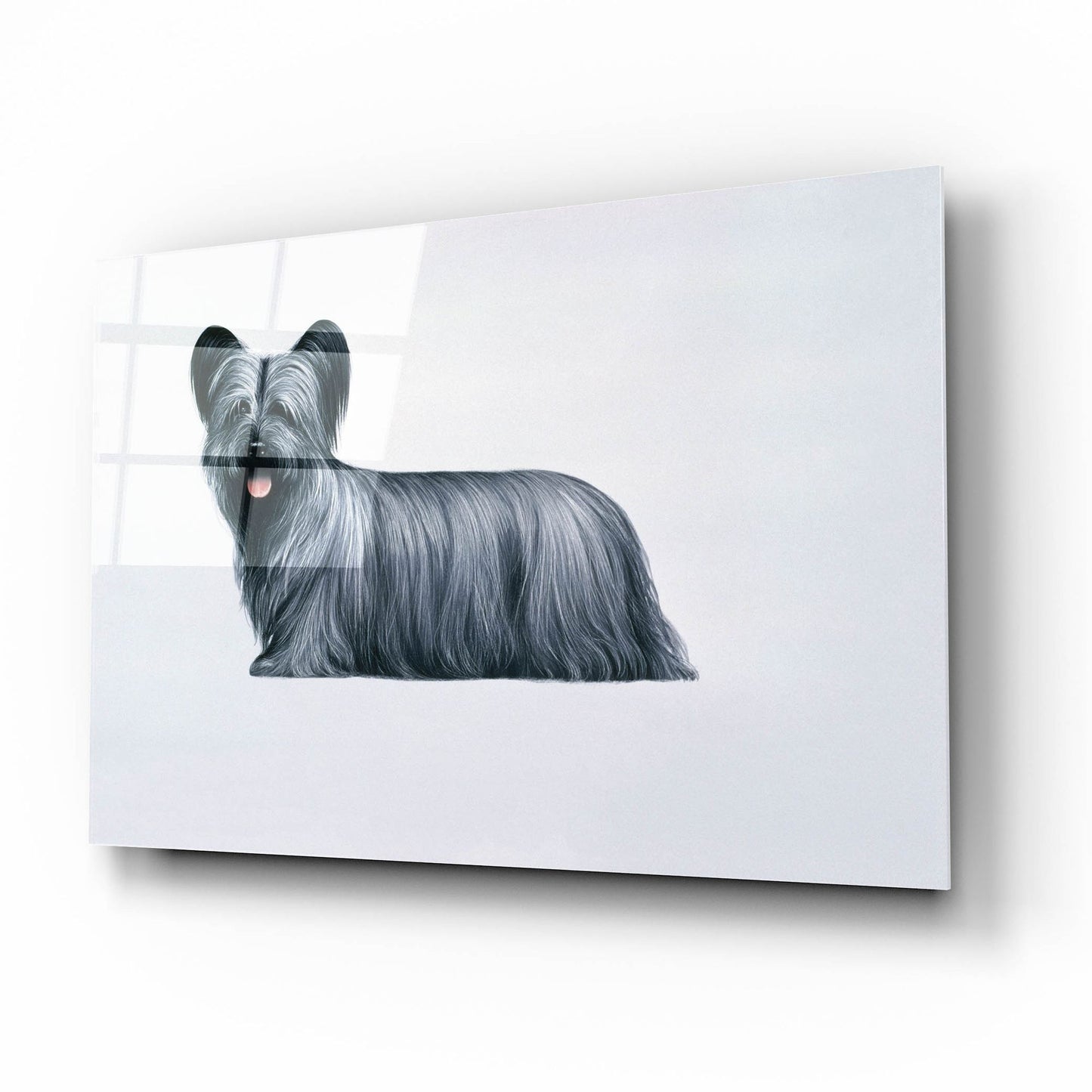 Epic Art 'Sky Terrier' by Harro Maass, Acrylic Glass Wall Art,16x12