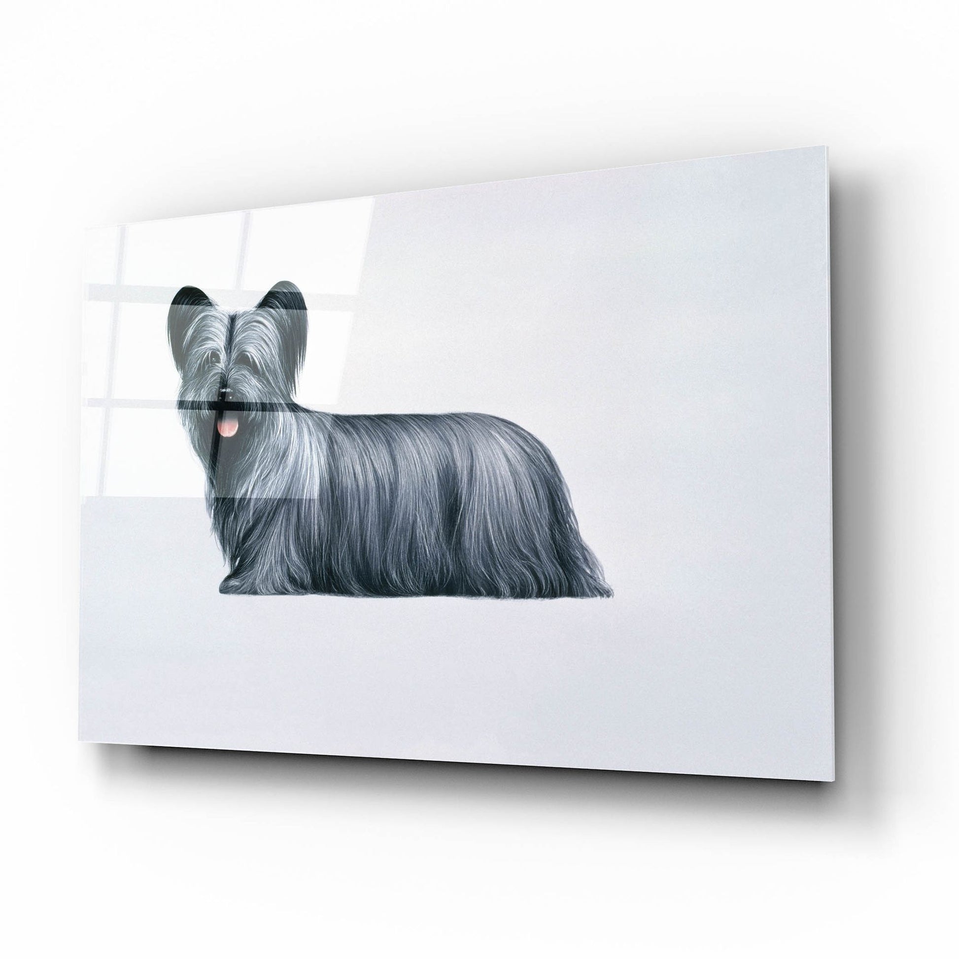 Epic Art 'Sky Terrier' by Harro Maass, Acrylic Glass Wall Art,16x12