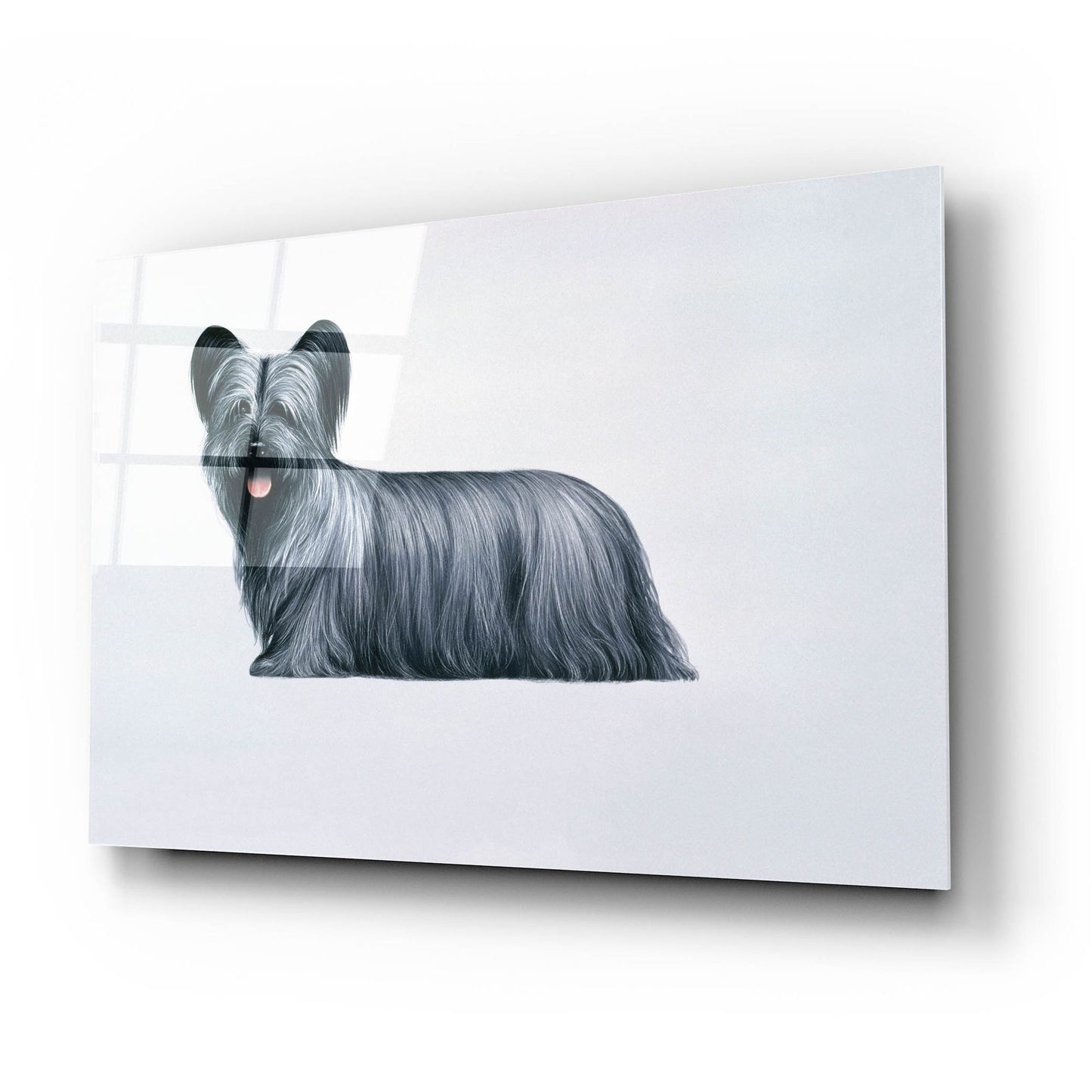 Epic Art 'Sky Terrier' by Harro Maass, Acrylic Glass Wall Art,24x16