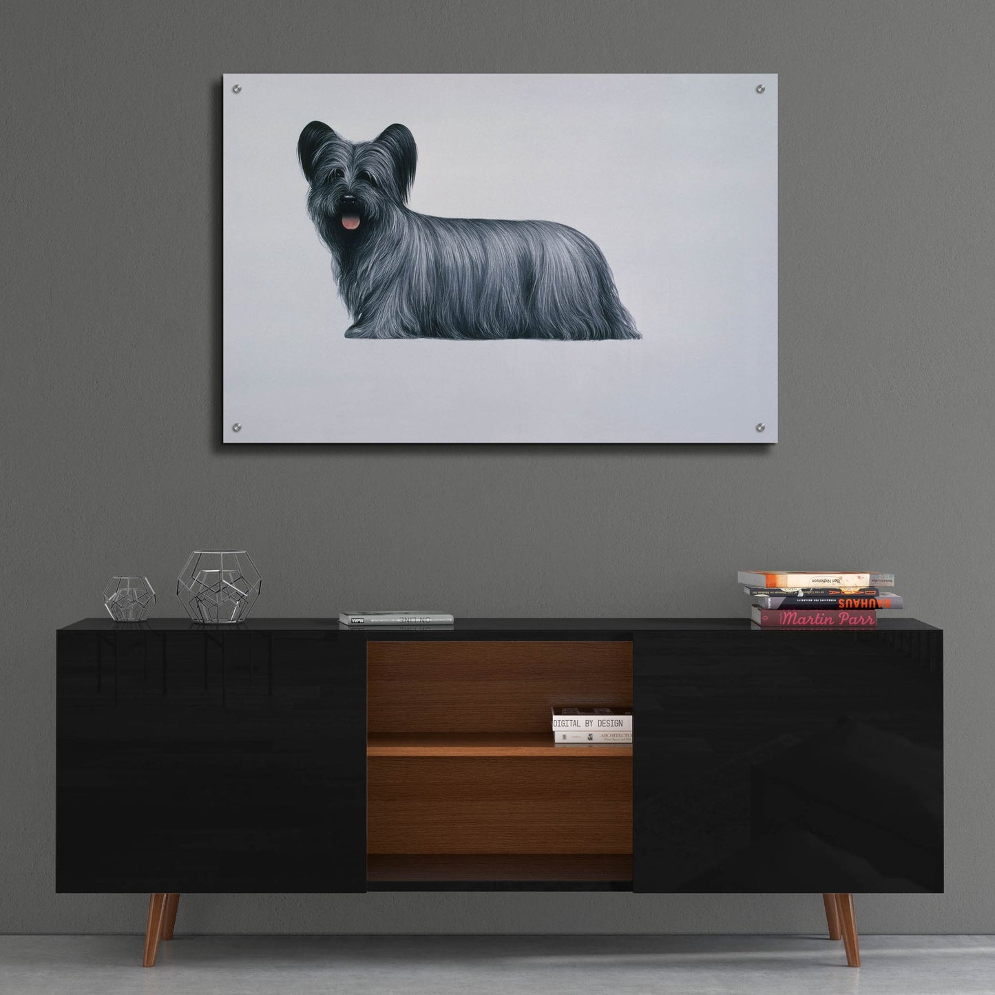 Epic Art 'Sky Terrier' by Harro Maass, Acrylic Glass Wall Art,36x24