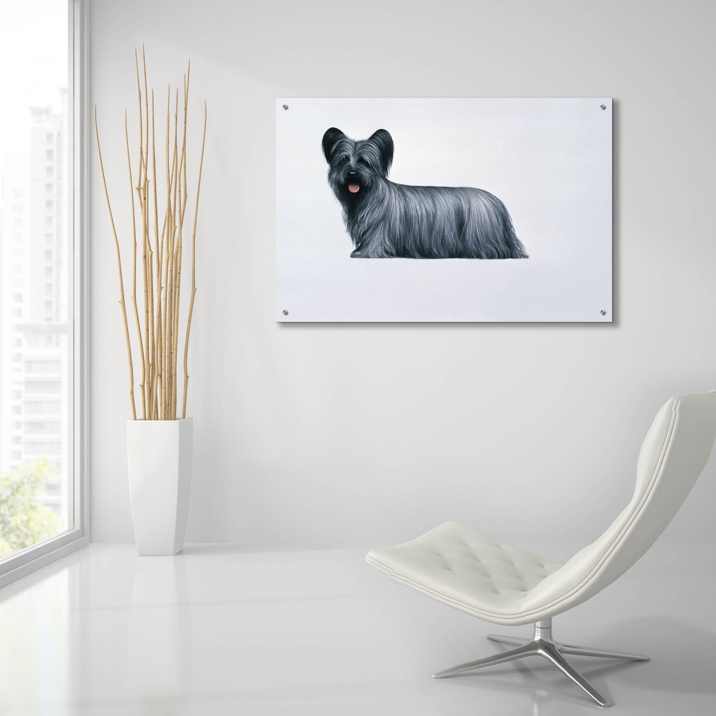 Epic Art 'Sky Terrier' by Harro Maass, Acrylic Glass Wall Art,36x24