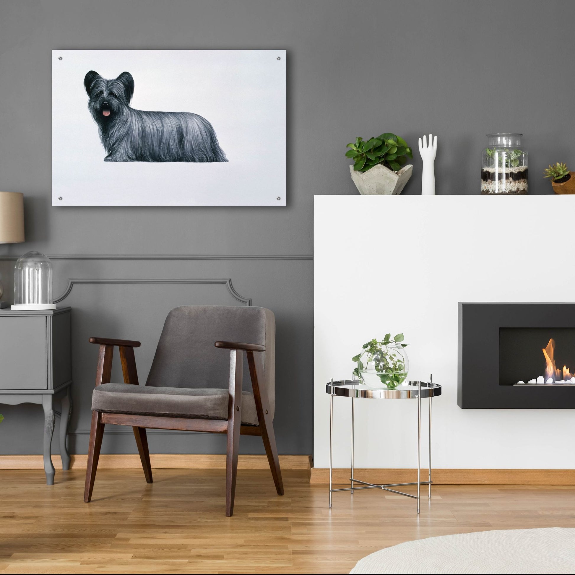 Epic Art 'Sky Terrier' by Harro Maass, Acrylic Glass Wall Art,36x24