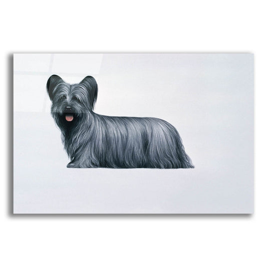 Epic Art 'Sky Terrier' by Harro Maass, Acrylic Glass Wall Art