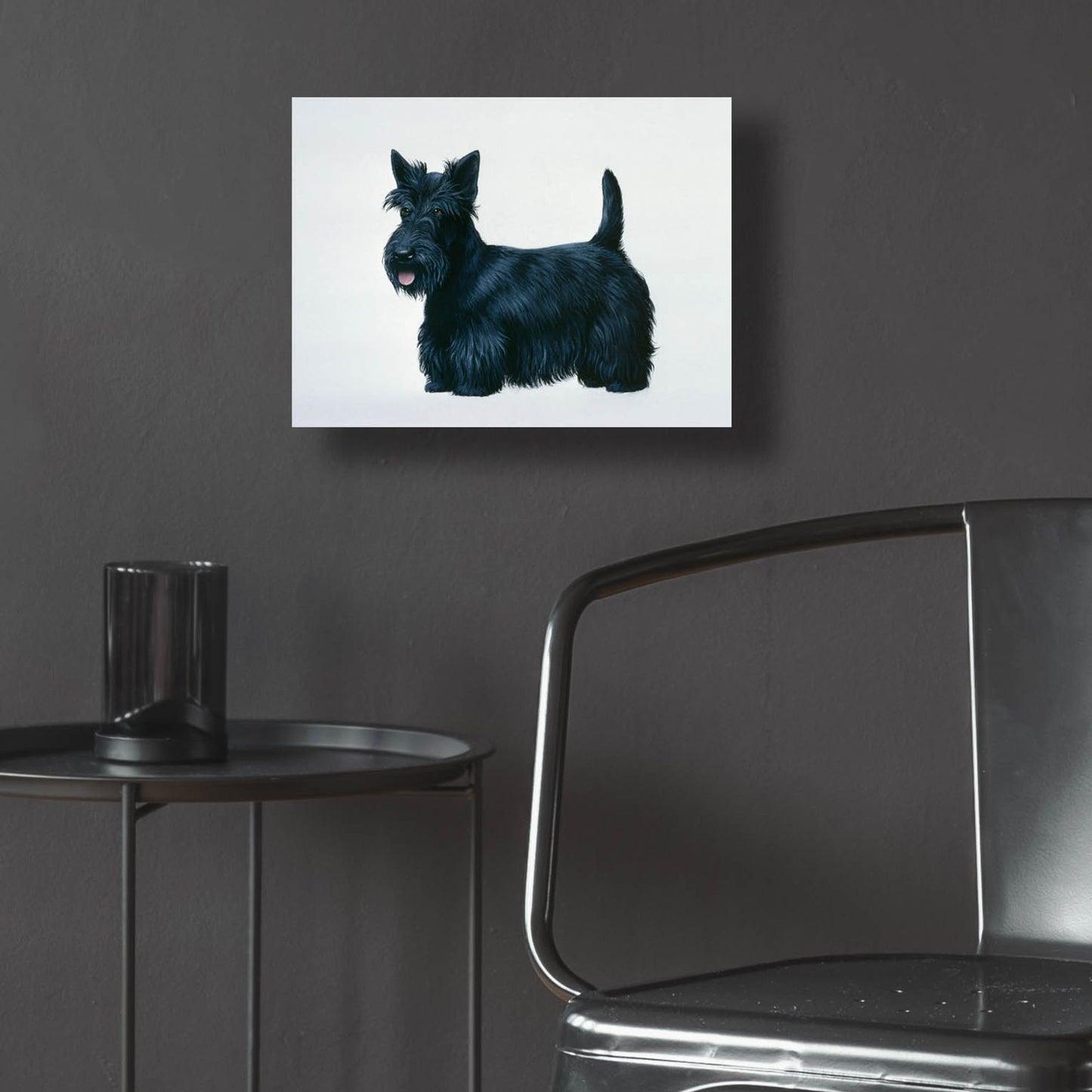 Epic Art 'Scottish Terrier' by Harro Maass, Acrylic Glass Wall Art,16x12