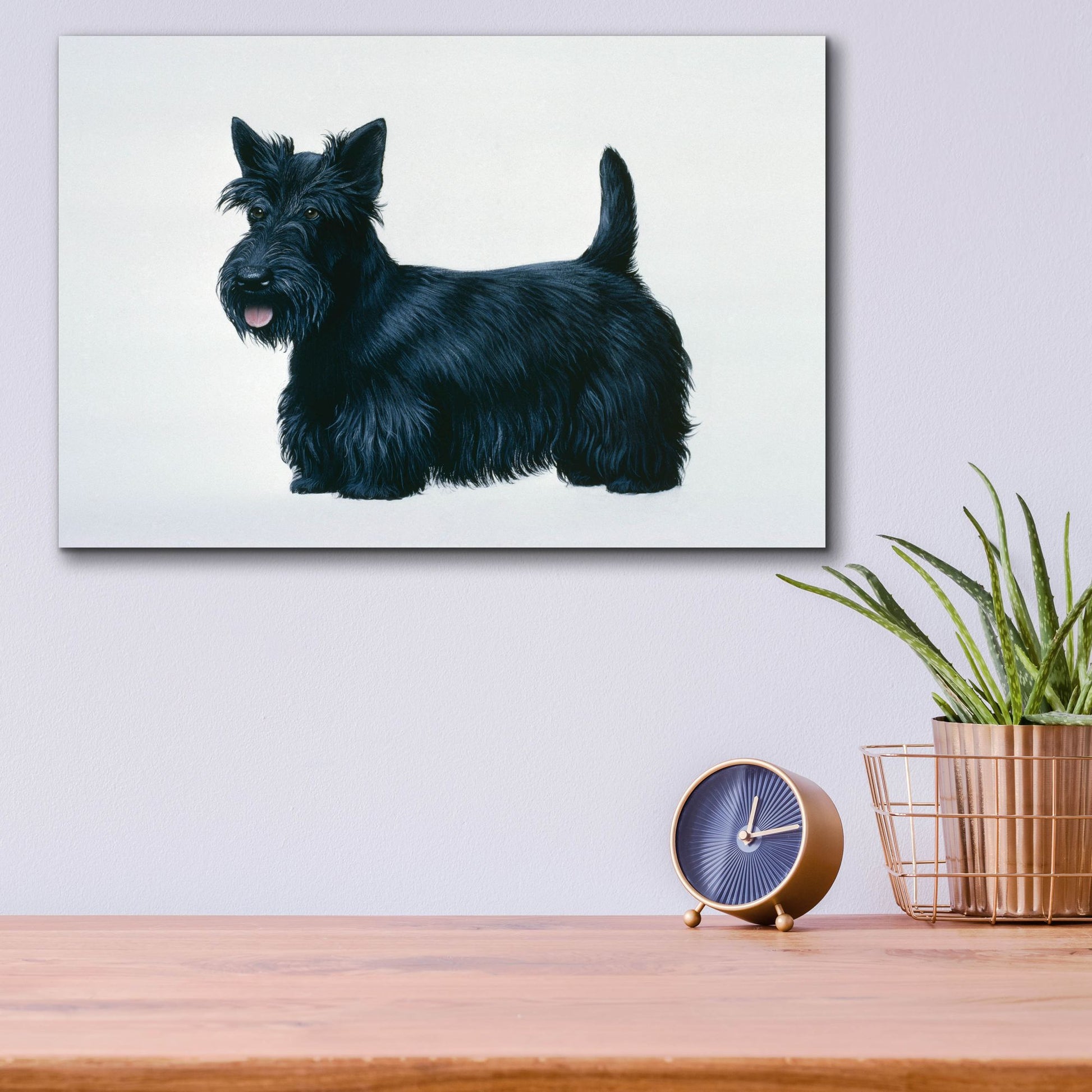 Epic Art 'Scottish Terrier' by Harro Maass, Acrylic Glass Wall Art,16x12