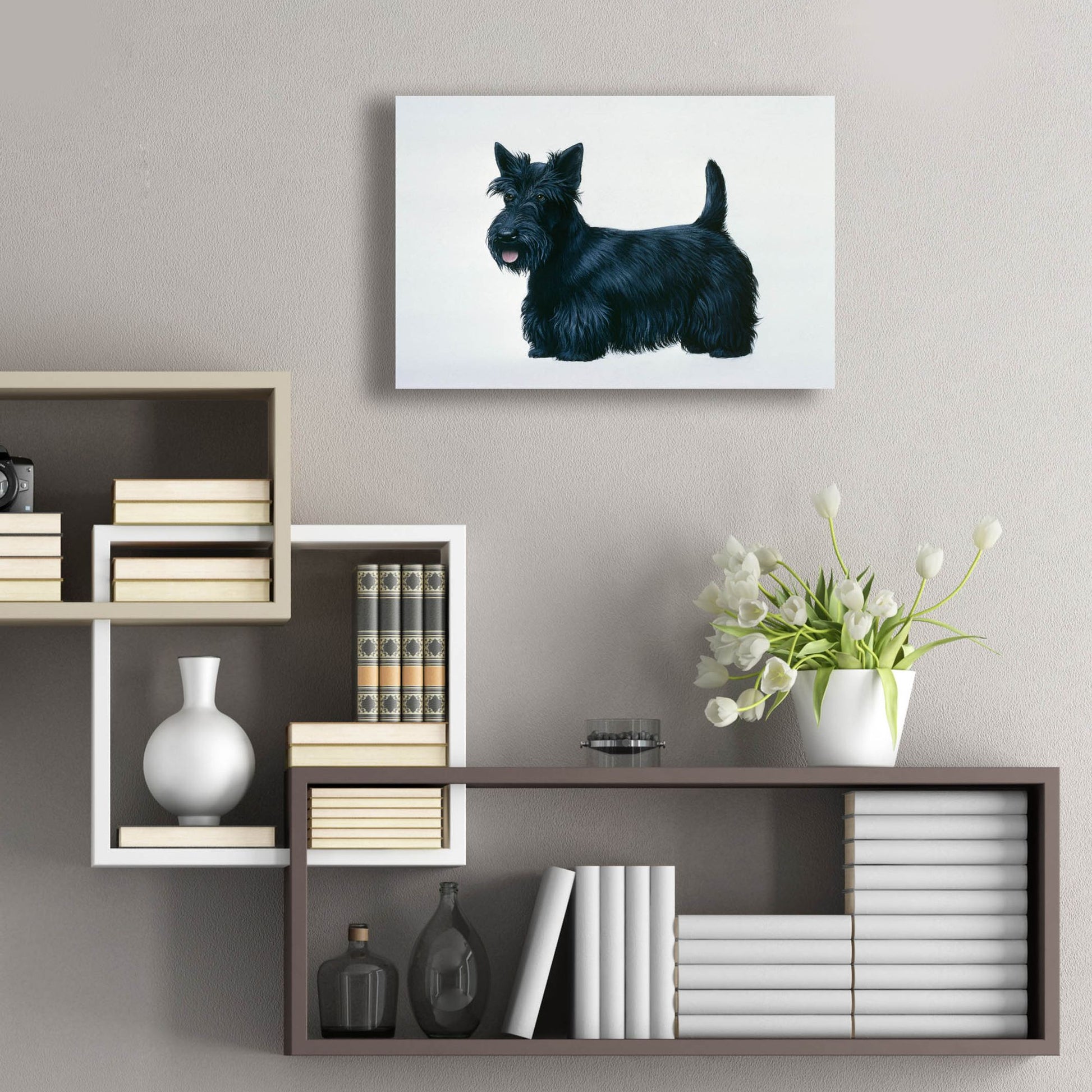 Epic Art 'Scottish Terrier' by Harro Maass, Acrylic Glass Wall Art,24x16