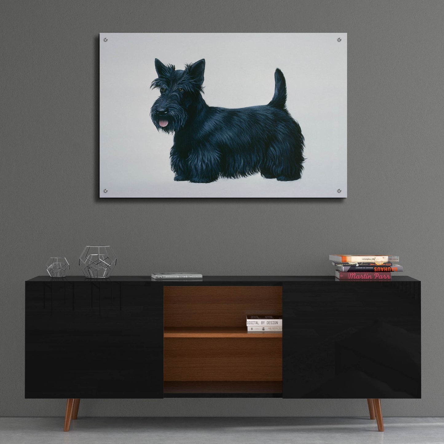 Epic Art 'Scottish Terrier' by Harro Maass, Acrylic Glass Wall Art,36x24