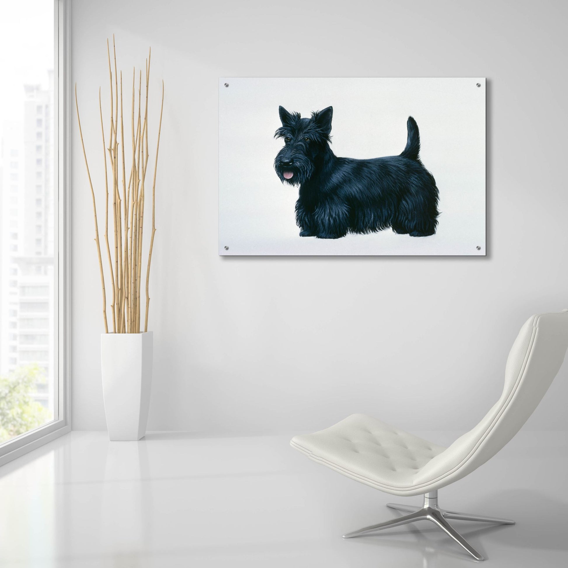 Epic Art 'Scottish Terrier' by Harro Maass, Acrylic Glass Wall Art,36x24