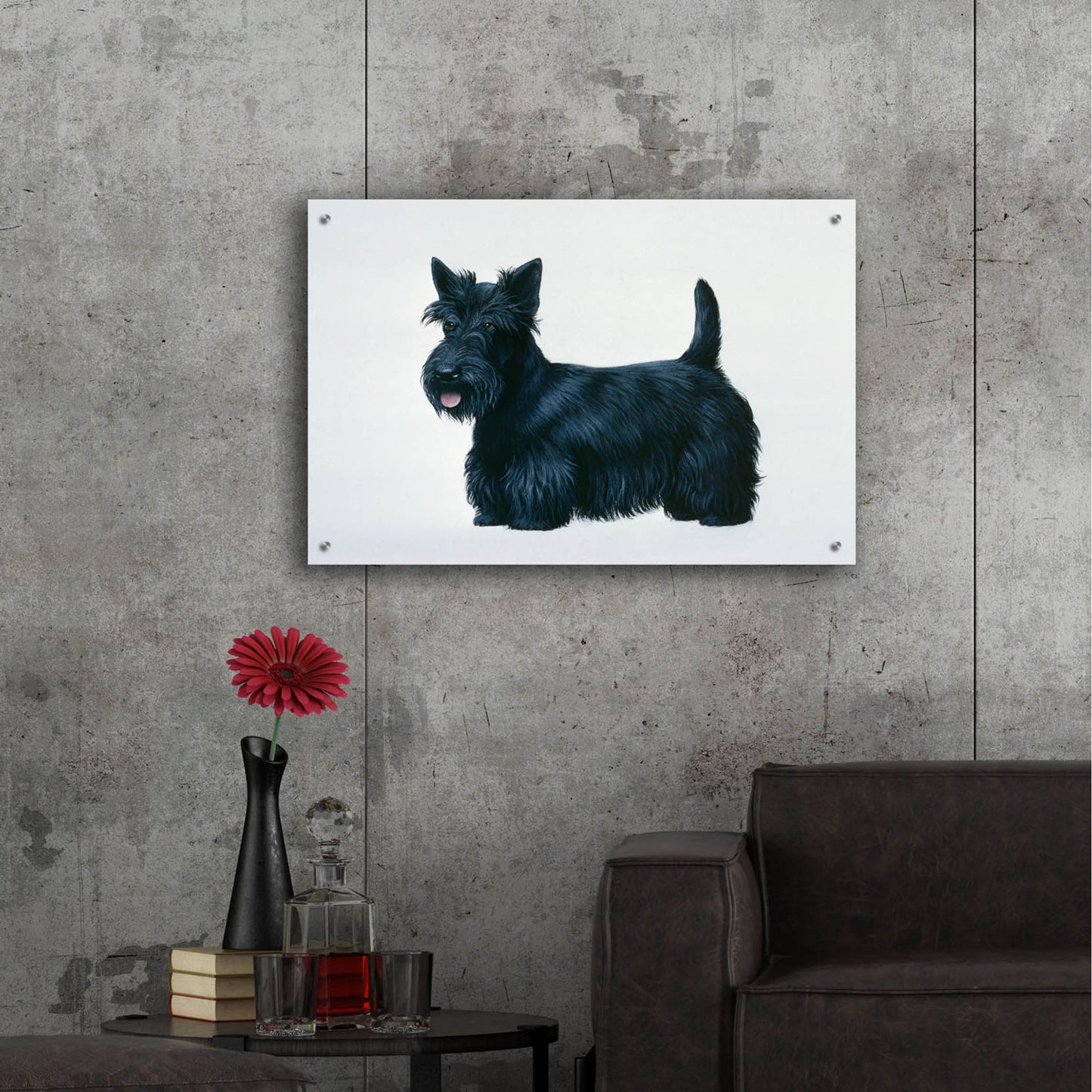 Epic Art 'Scottish Terrier' by Harro Maass, Acrylic Glass Wall Art,36x24