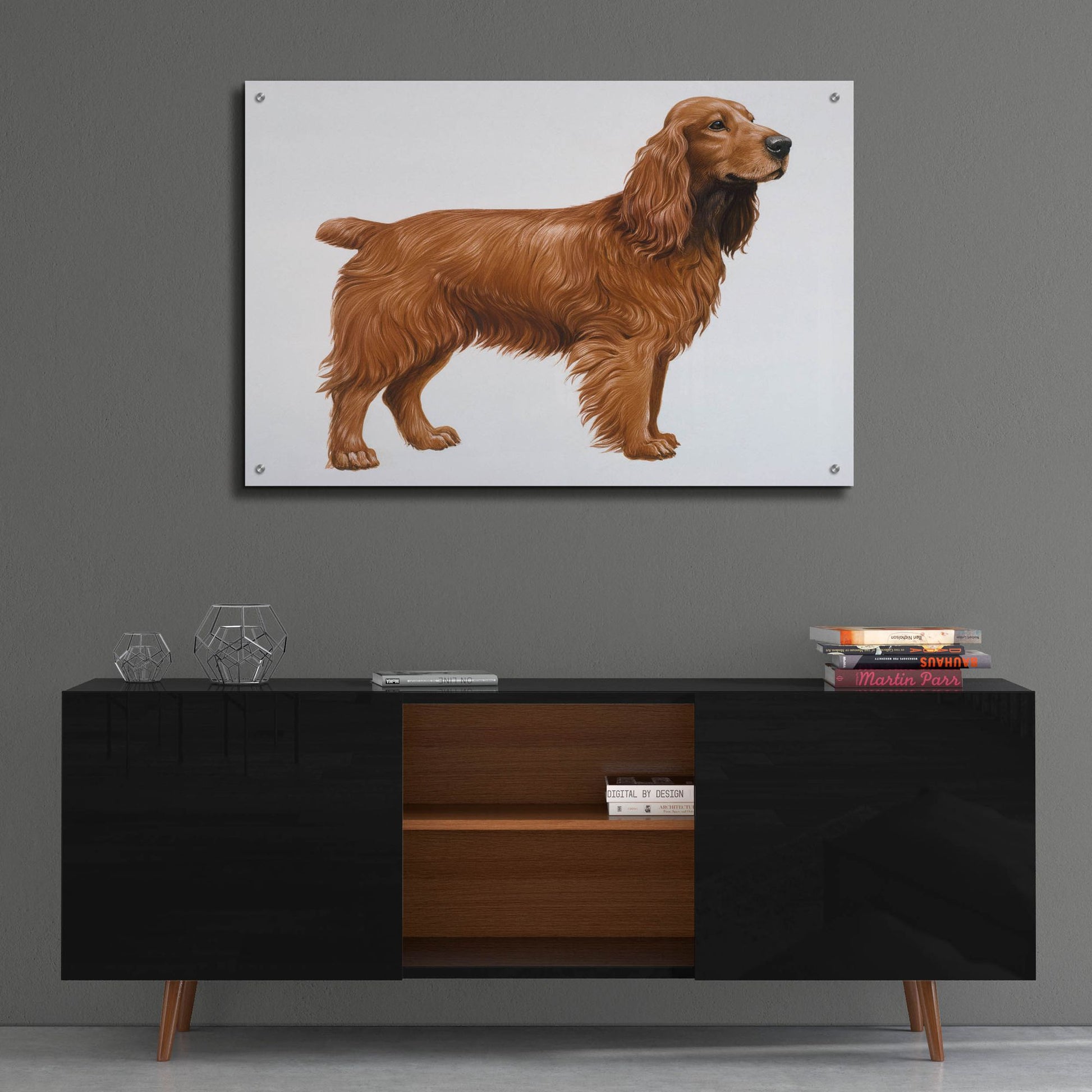 Epic Art 'Cocker Spaniel' by Harro Maass, Acrylic Glass Wall Art,36x24