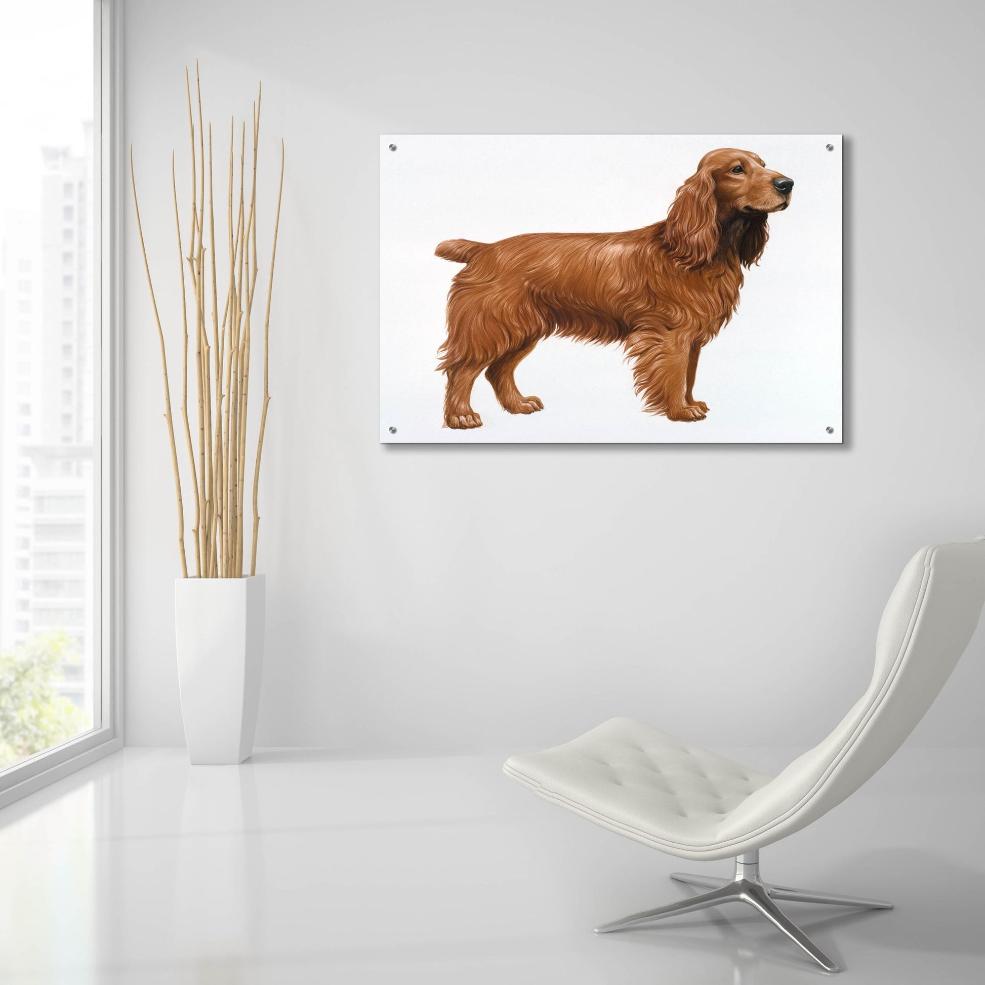 Epic Art 'Cocker Spaniel' by Harro Maass, Acrylic Glass Wall Art,36x24