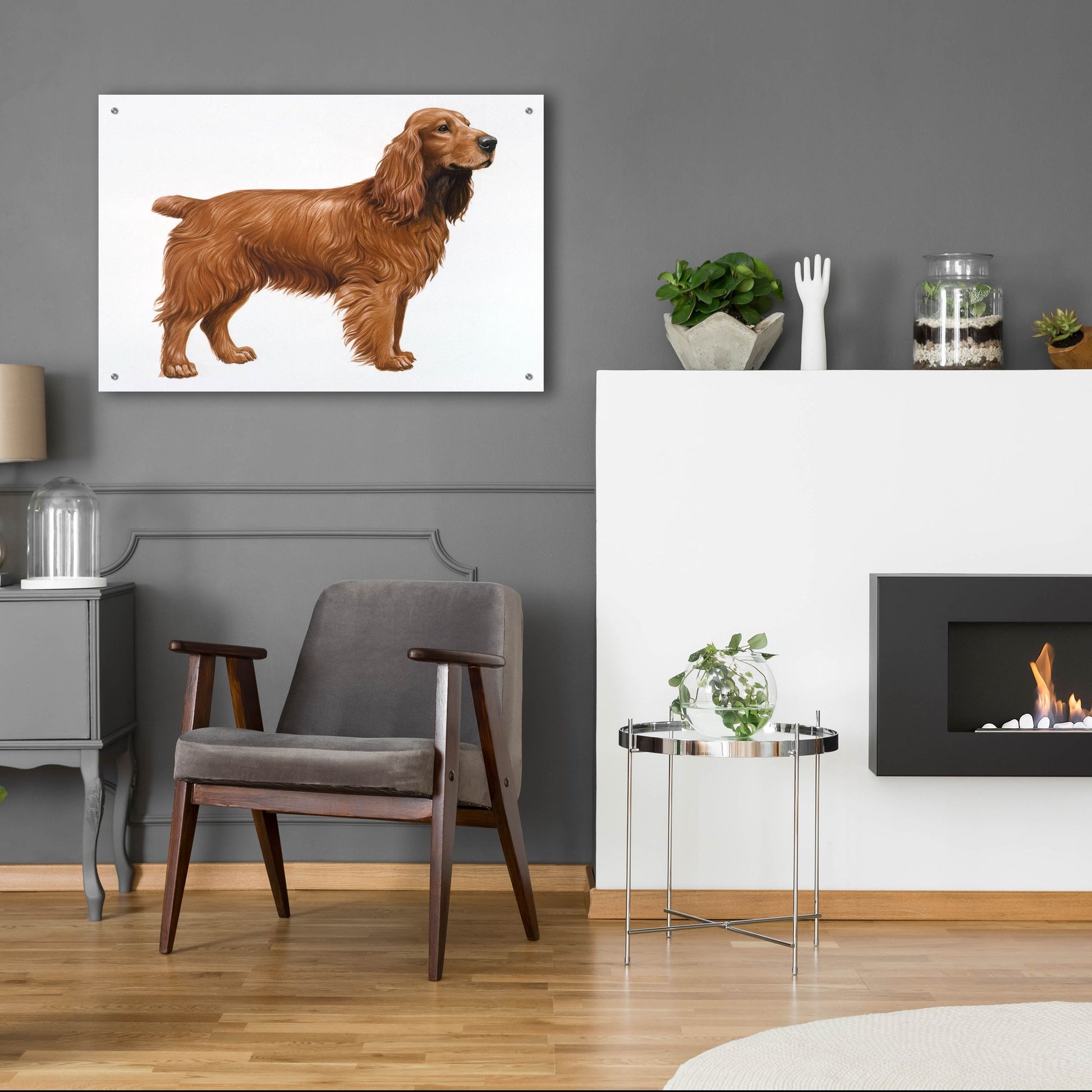 Epic Art 'Cocker Spaniel' by Harro Maass, Acrylic Glass Wall Art,36x24