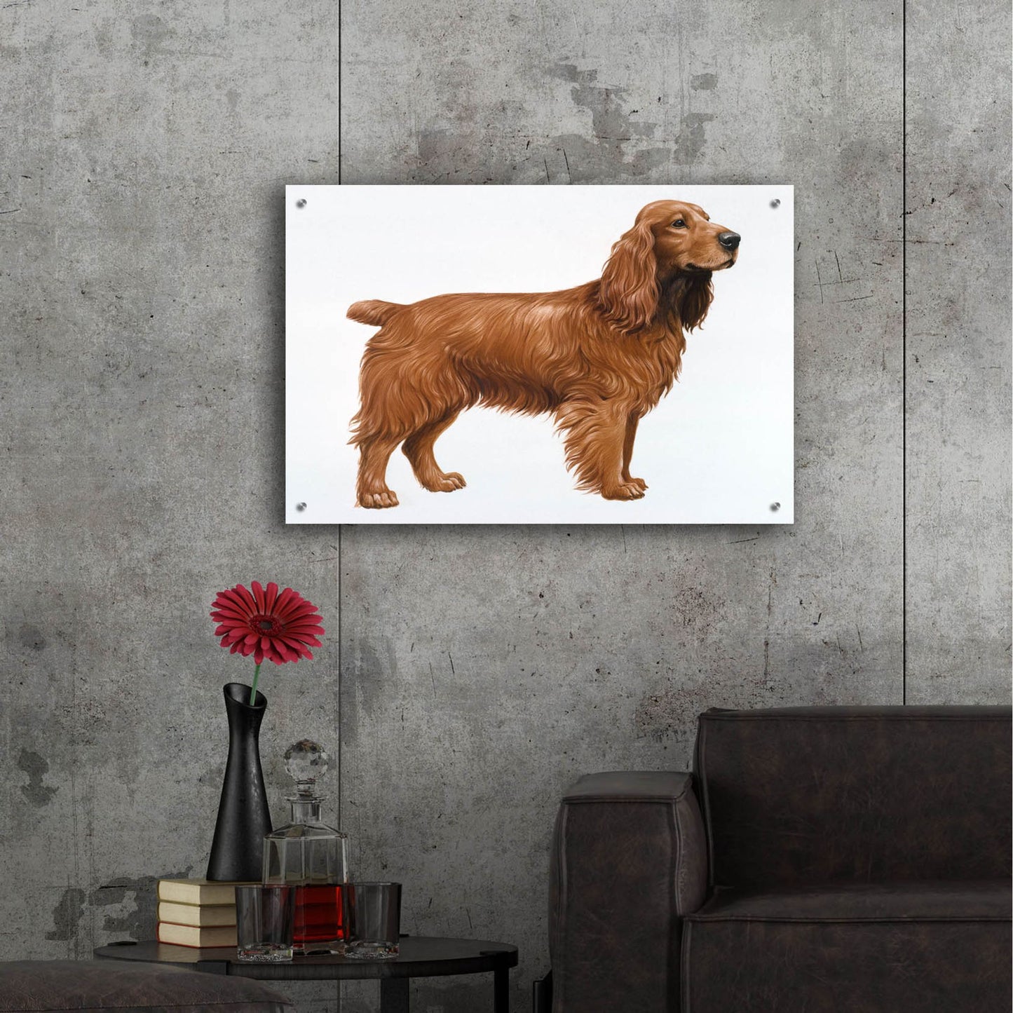 Epic Art 'Cocker Spaniel' by Harro Maass, Acrylic Glass Wall Art,36x24