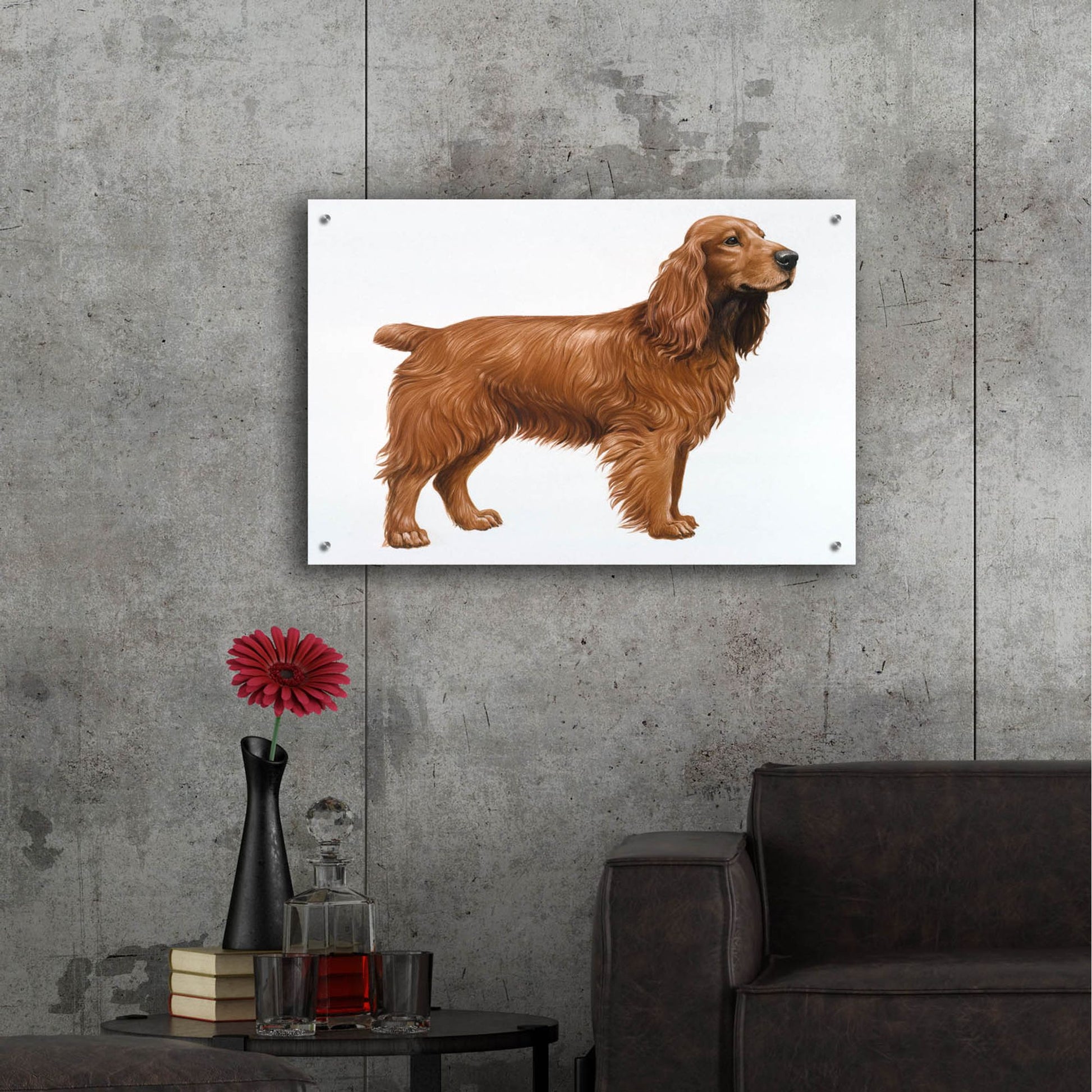 Epic Art 'Cocker Spaniel' by Harro Maass, Acrylic Glass Wall Art,36x24