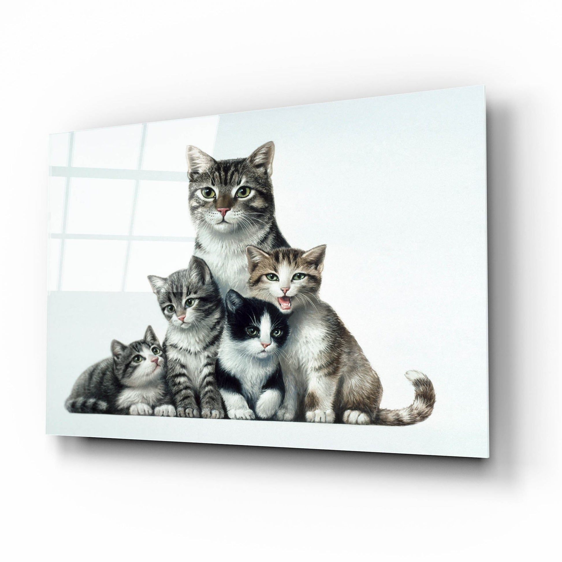 Epic Art 'Cat Family 2' by Harro Maass, Acrylic Glass Wall Art,16x12