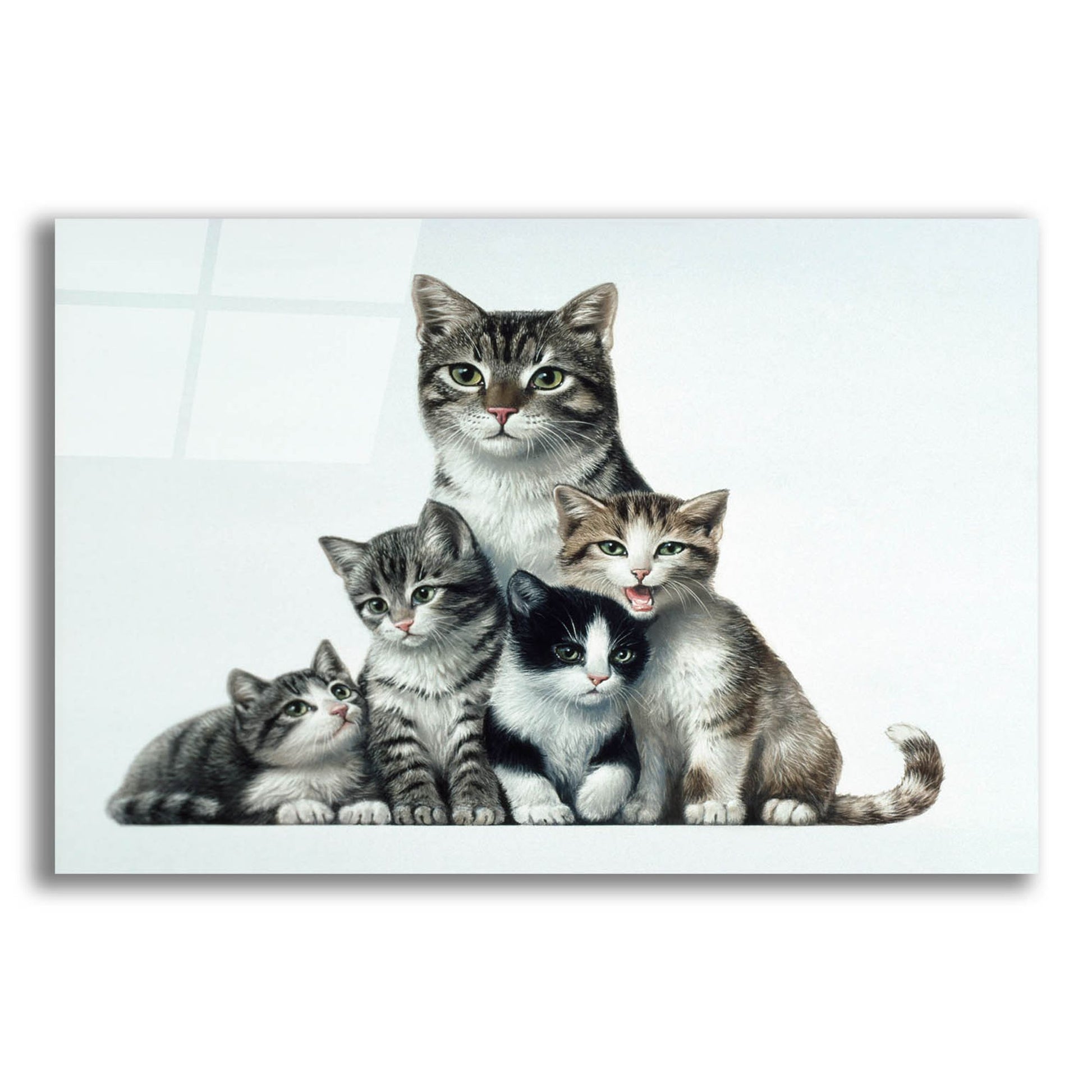 Epic Art 'Cat Family 2' by Harro Maass, Acrylic Glass Wall Art,16x12