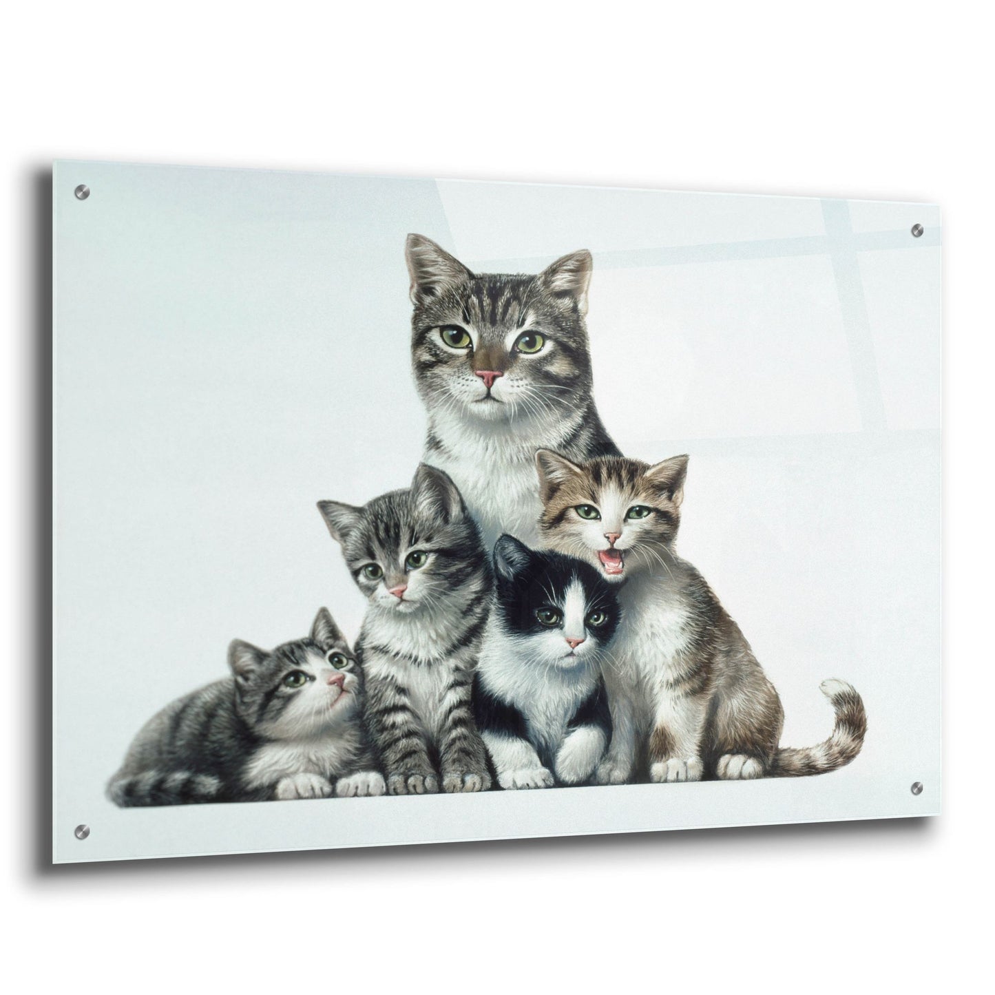 Epic Art 'Cat Family 2' by Harro Maass, Acrylic Glass Wall Art,36x24