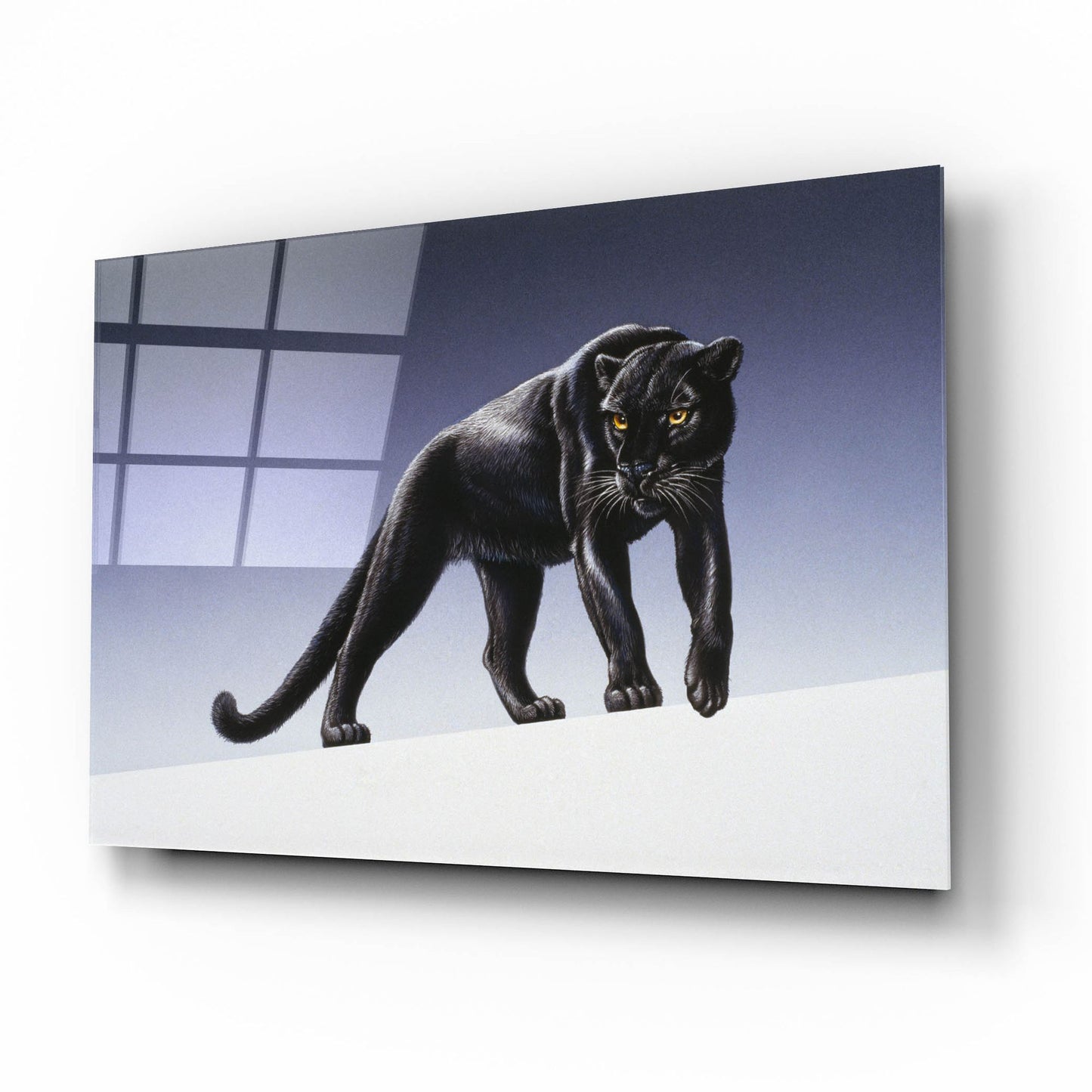 Epic Art 'Black Panther' by Harro Maass, Acrylic Glass Wall Art,16x12