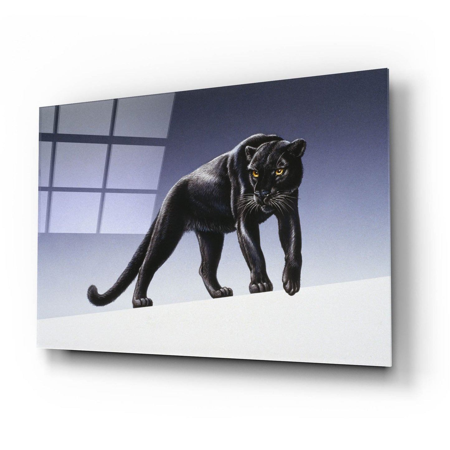 Epic Art 'Black Panther' by Harro Maass, Acrylic Glass Wall Art,24x16