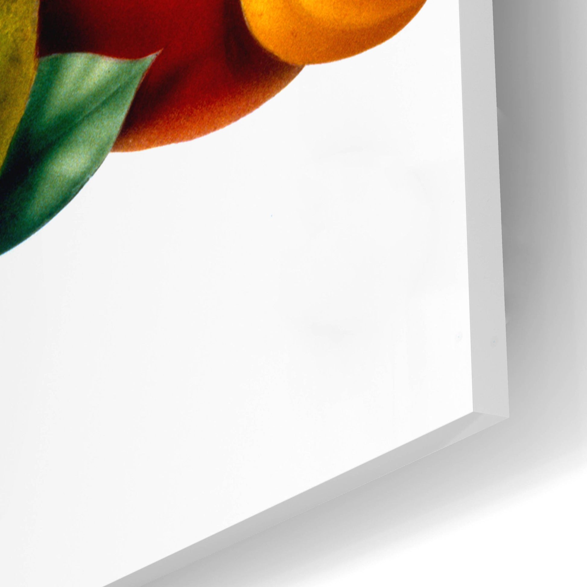 Epic Art 'Fruit' by Harro Maass, Acrylic Glass Wall Art,24x16