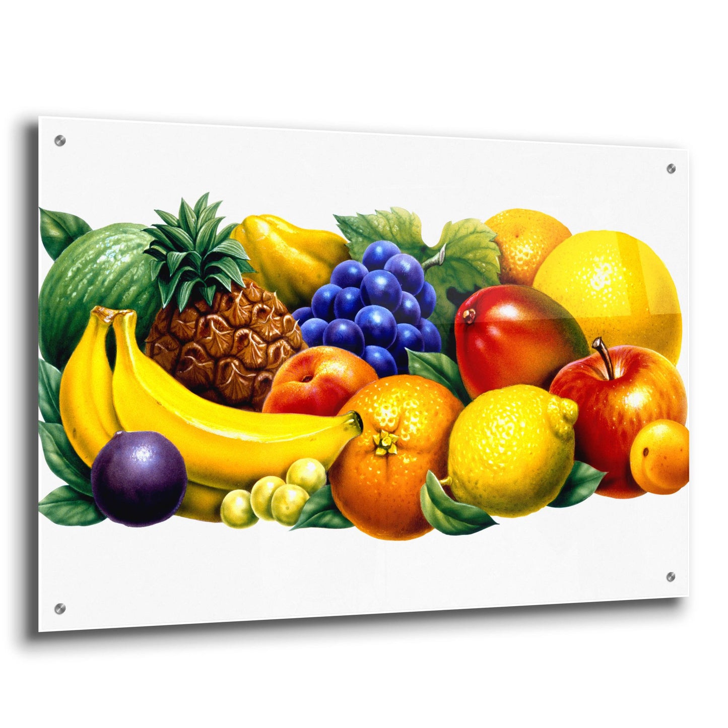 Epic Art 'Fruit' by Harro Maass, Acrylic Glass Wall Art,36x24