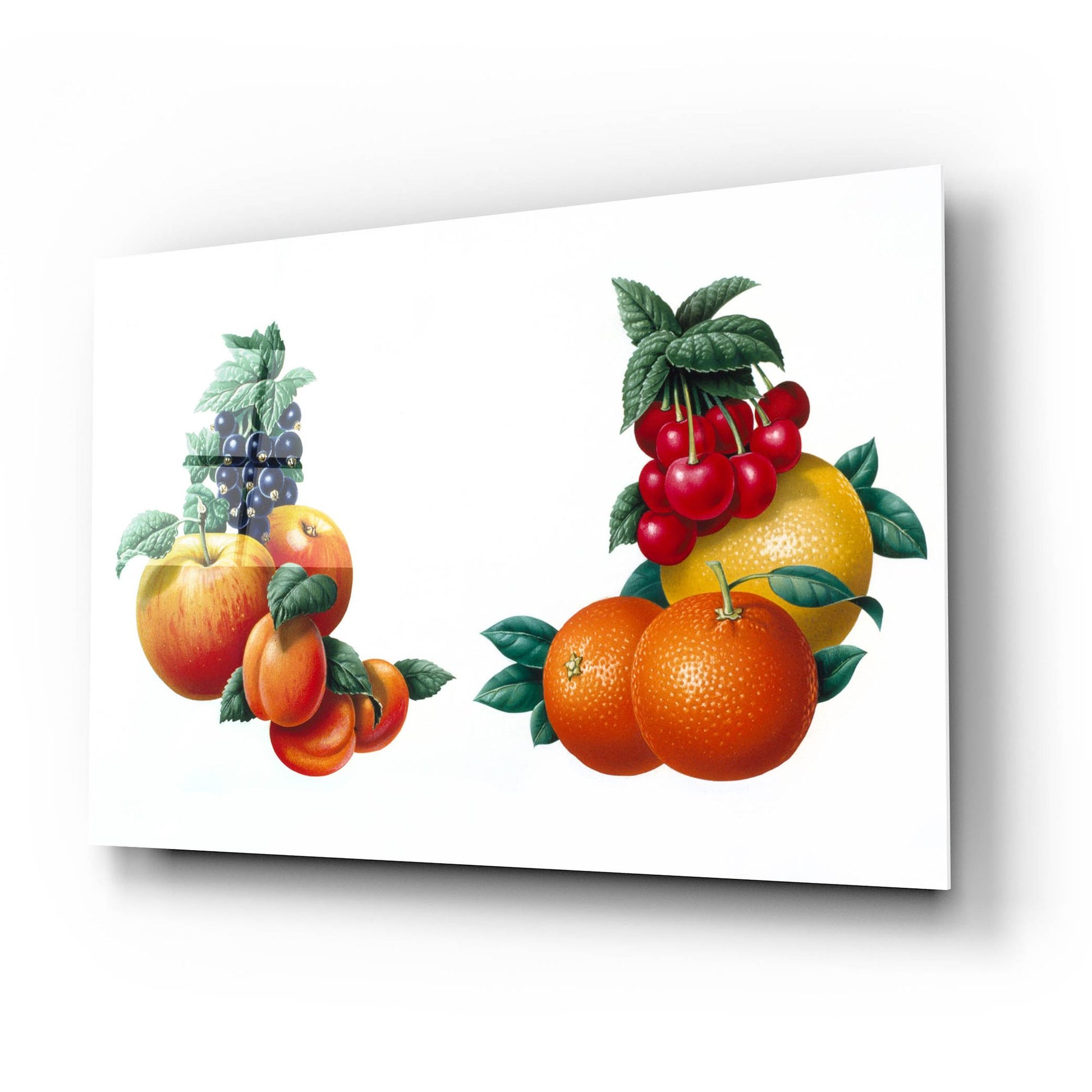 Epic Art 'Fruit 3' by Harro Maass, Acrylic Glass Wall Art,24x16