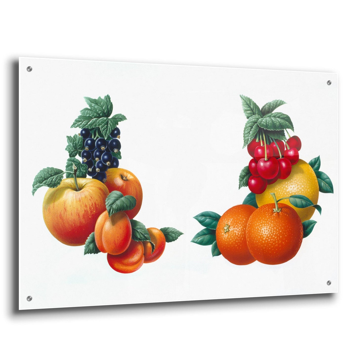 Epic Art 'Fruit 3' by Harro Maass, Acrylic Glass Wall Art,36x24