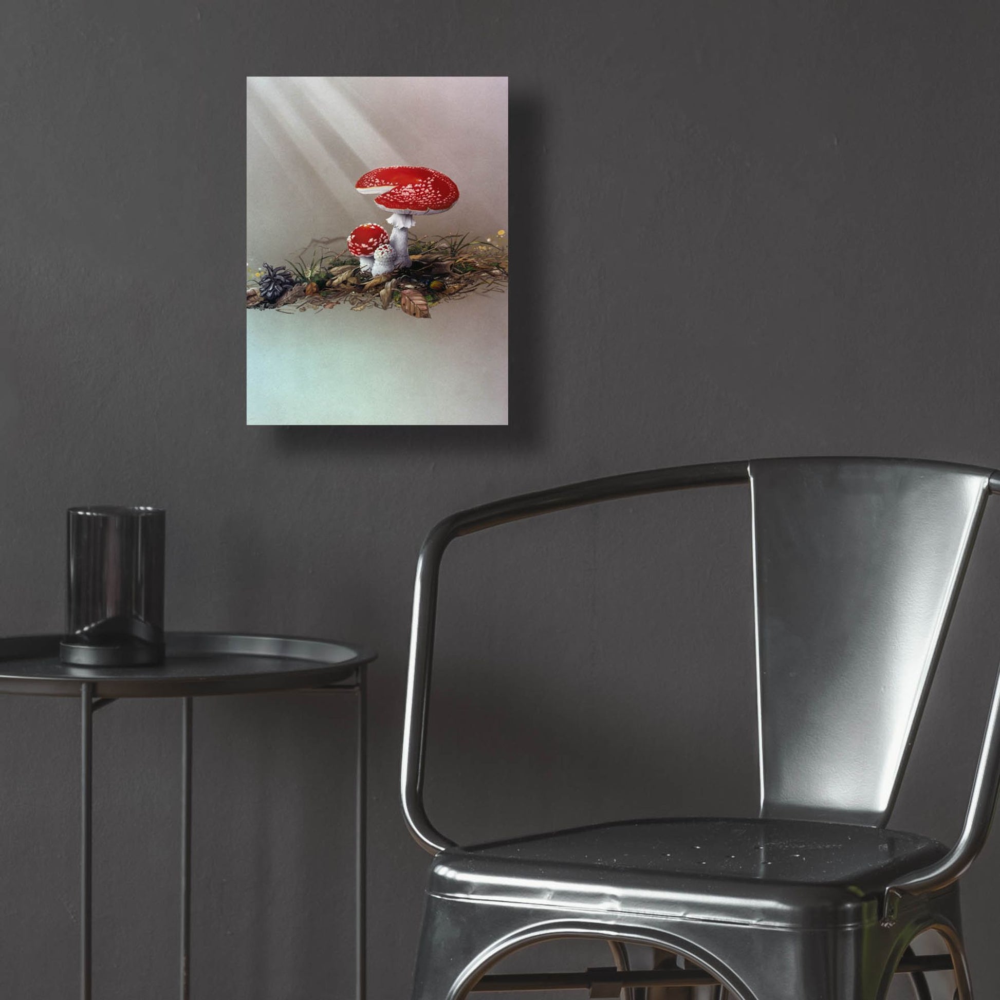 Epic Art 'Mushrooms' by Harro Maass, Acrylic Glass Wall Art,12x16