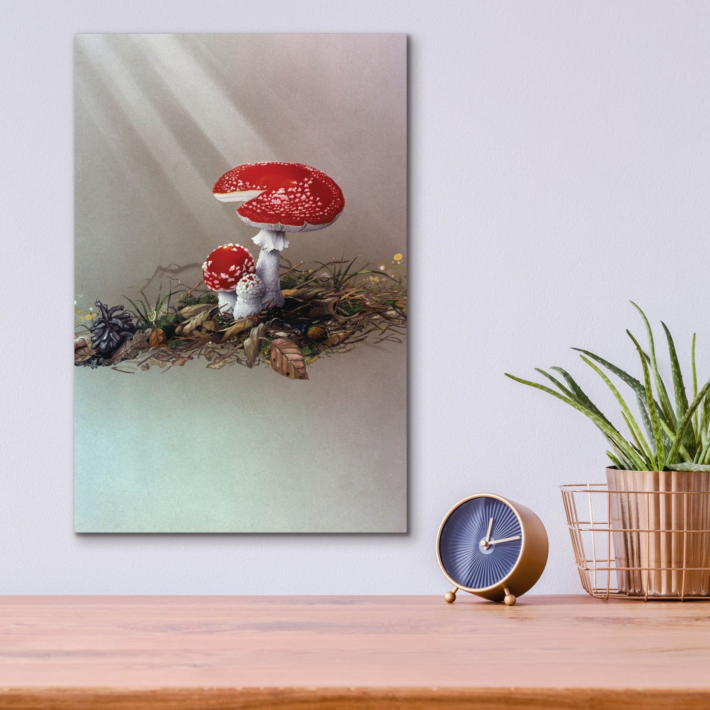 Epic Art 'Mushrooms' by Harro Maass, Acrylic Glass Wall Art,12x16