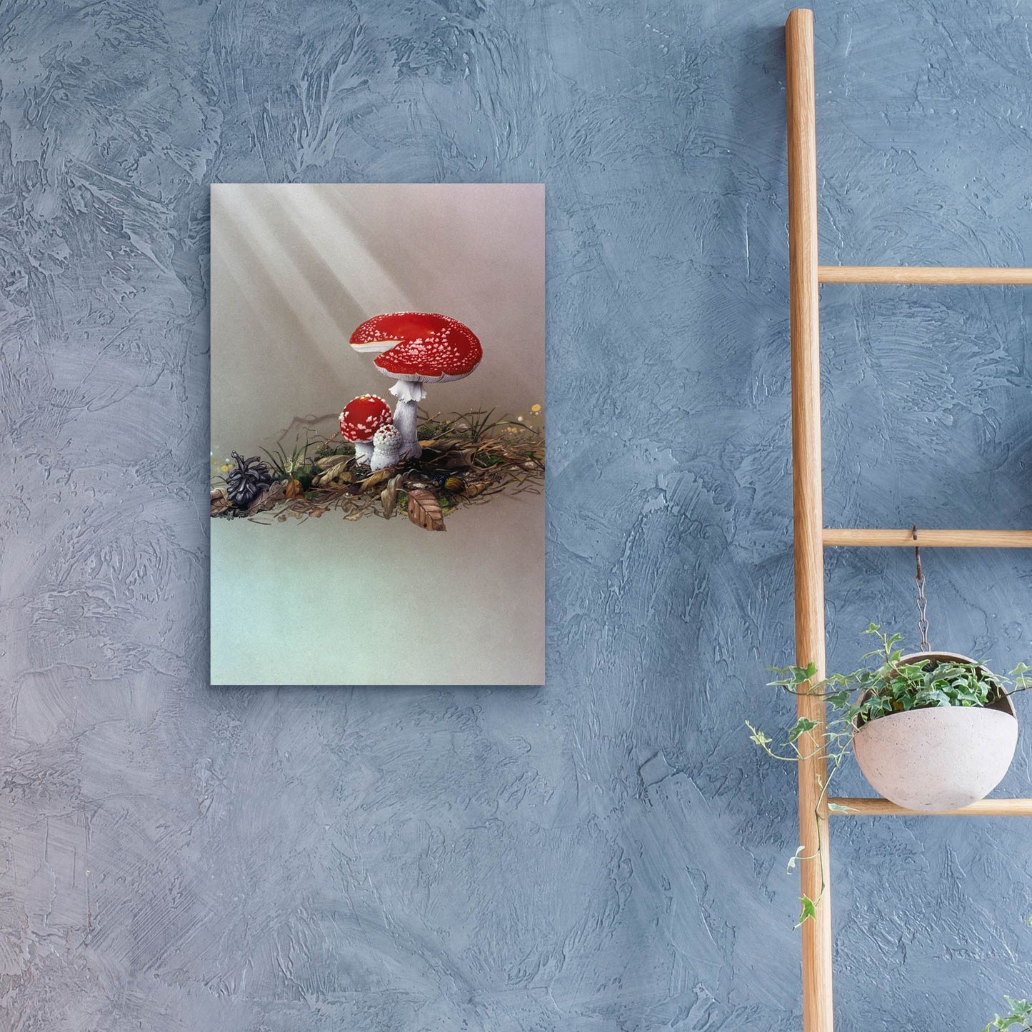 Epic Art 'Mushrooms' by Harro Maass, Acrylic Glass Wall Art,16x24