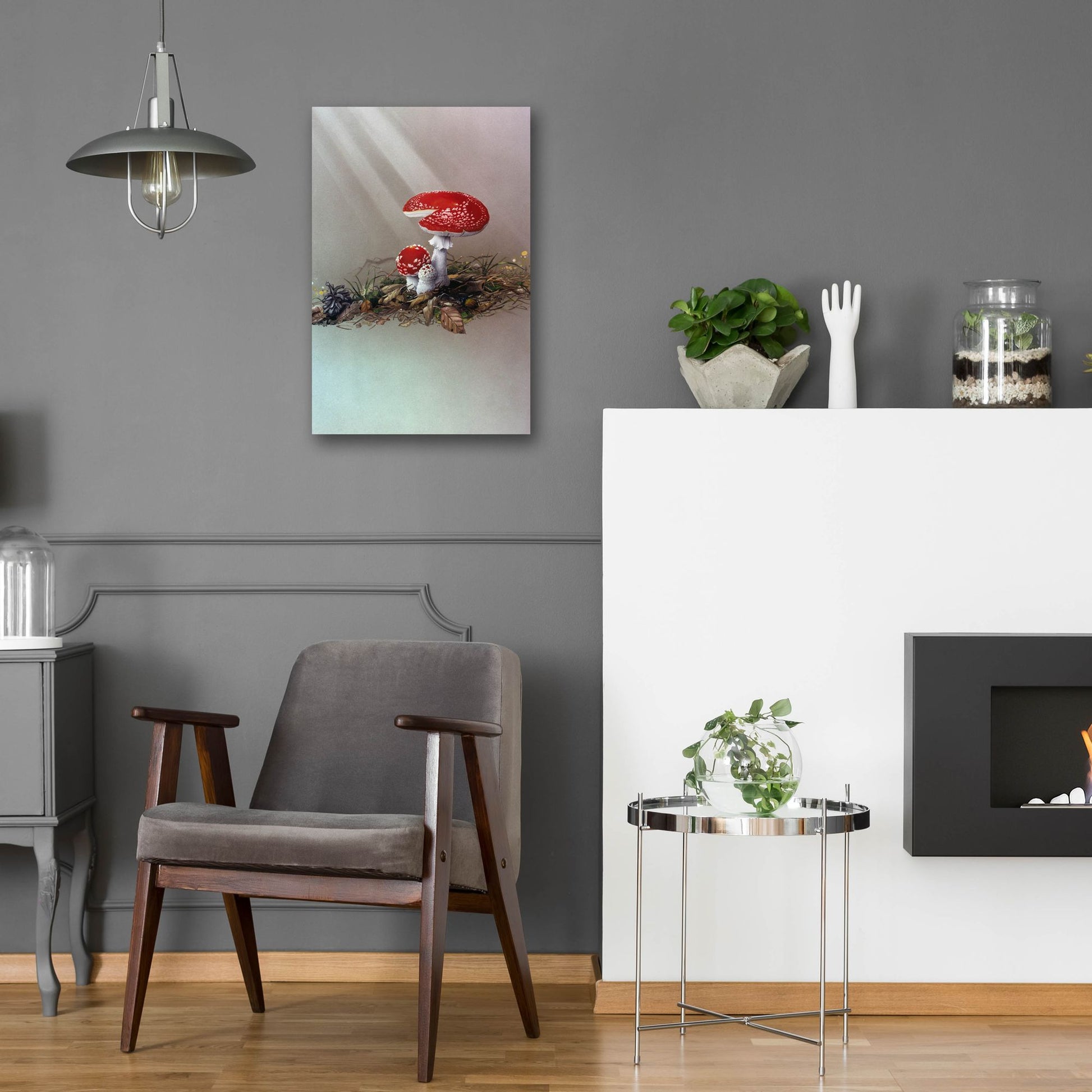Epic Art 'Mushrooms' by Harro Maass, Acrylic Glass Wall Art,16x24