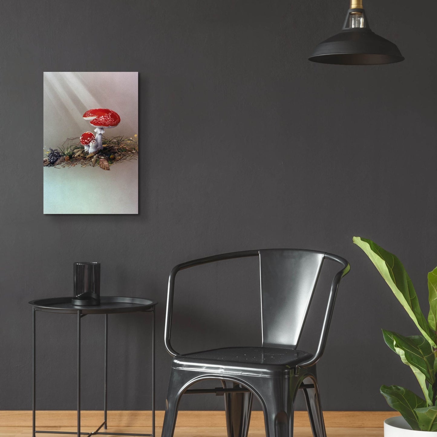 Epic Art 'Mushrooms' by Harro Maass, Acrylic Glass Wall Art,16x24